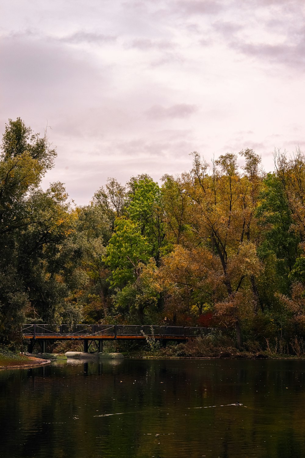 a bridge over a body of water surrounded by trees