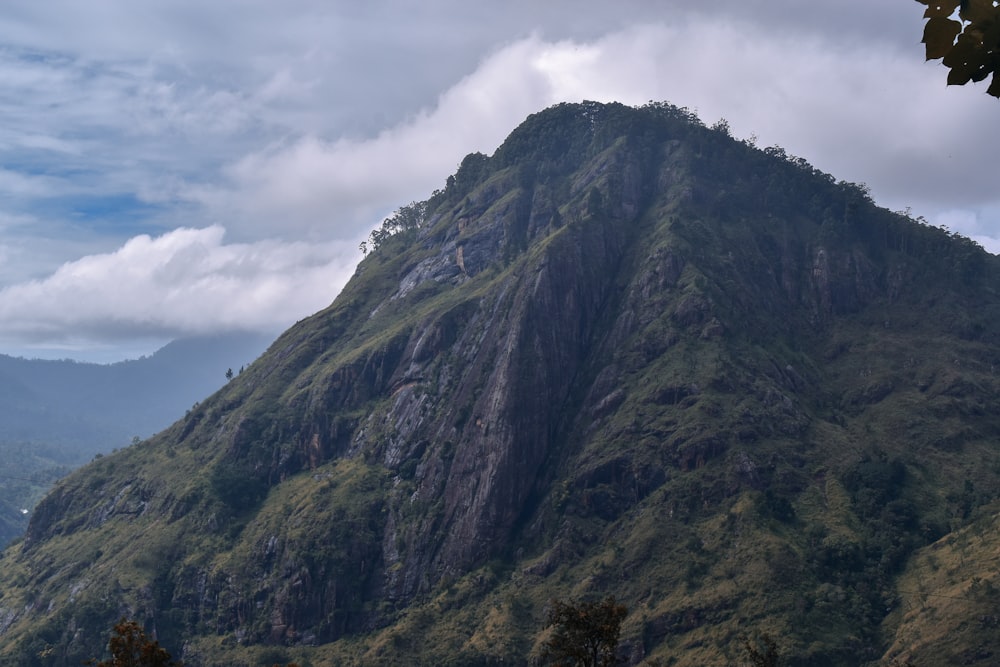 a very tall mountain with some trees on top of it