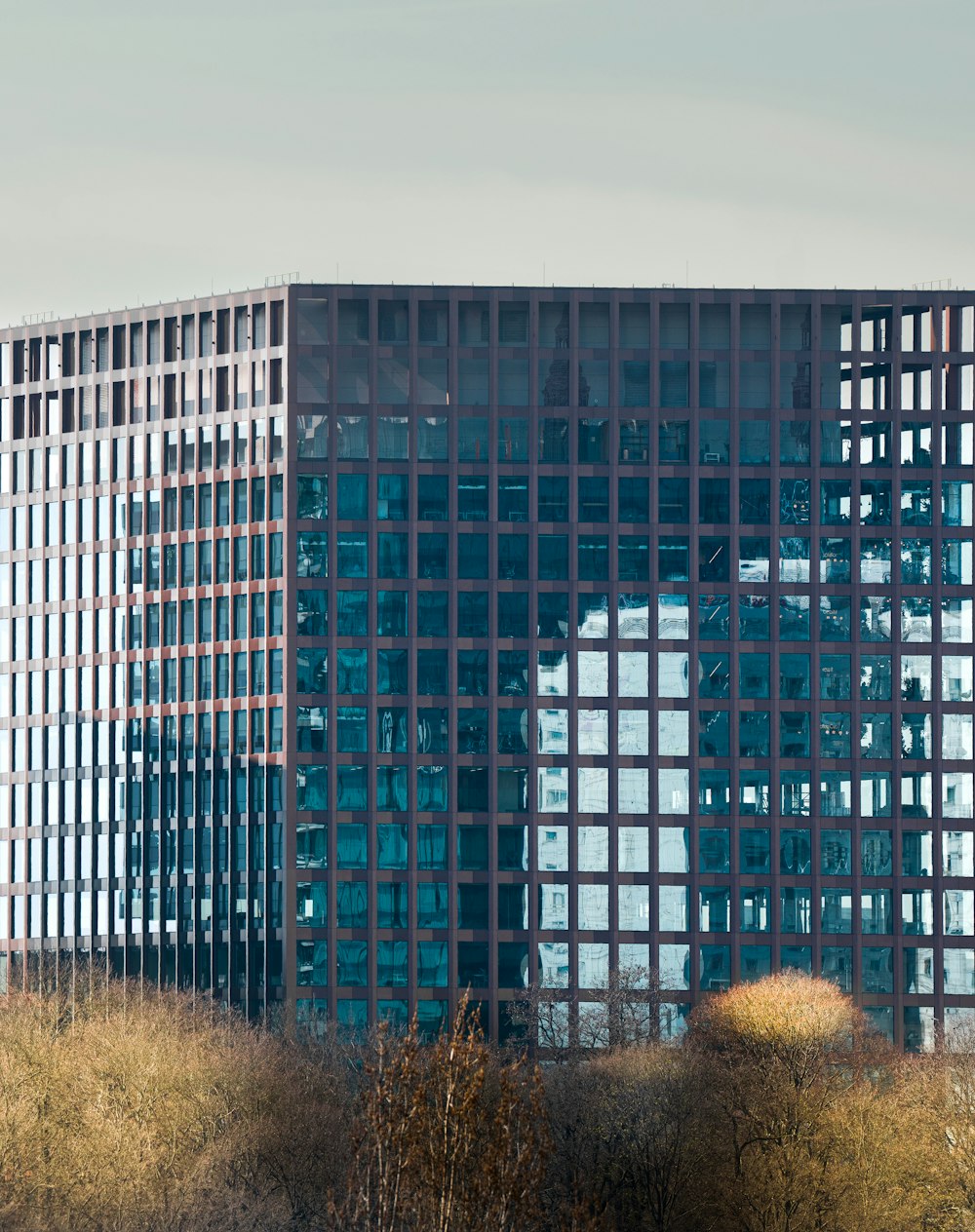 Un edificio alto con muchas ventanas en la parte superior