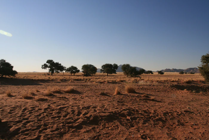 Kalahari savanna landscape — Namibia