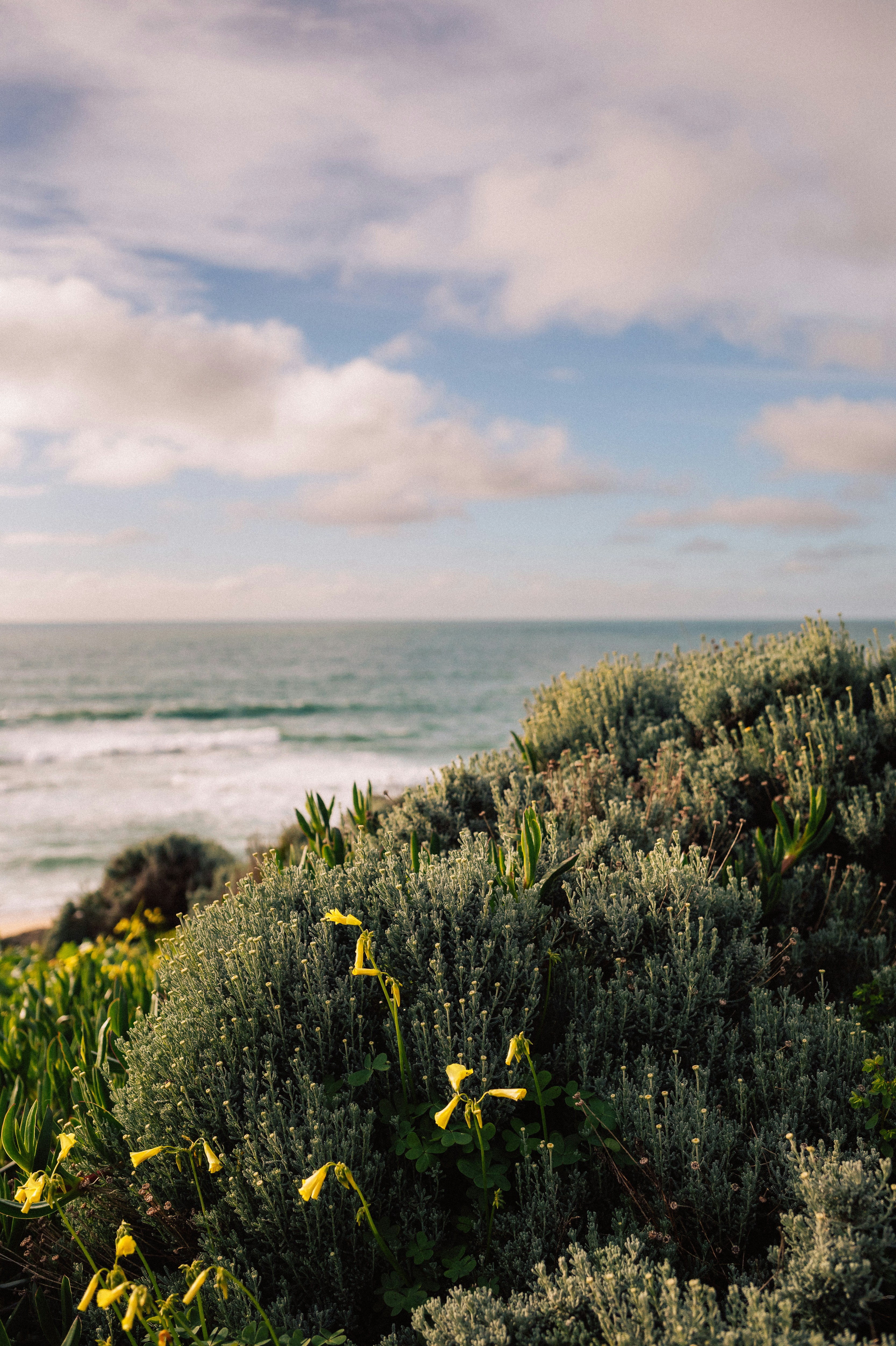 Photo by lizarusalskaya