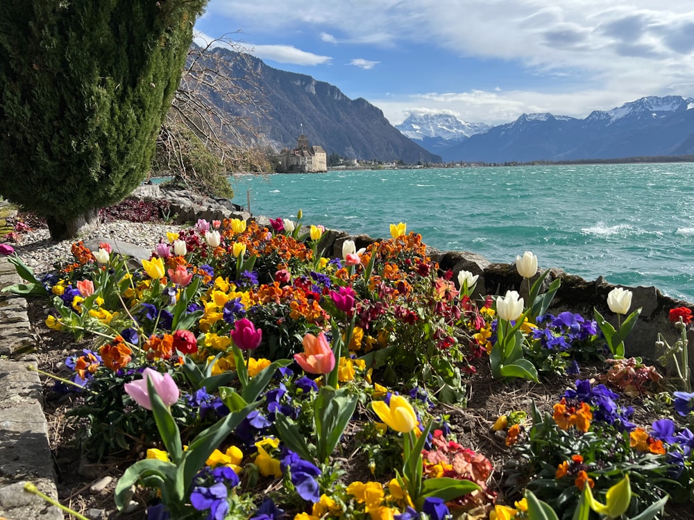 a bunch of flowers that are by the water