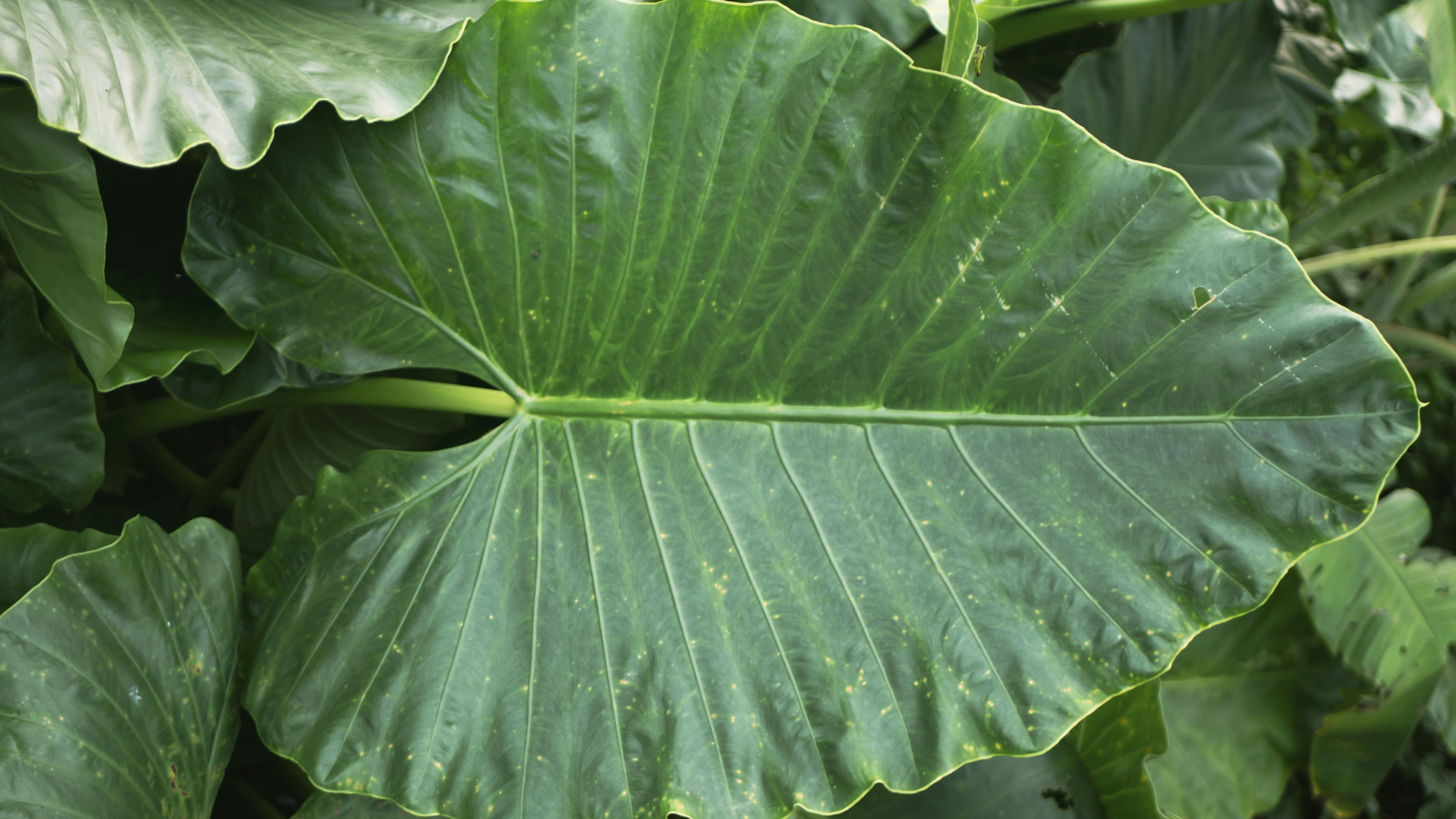 Photo by projecttwentysix