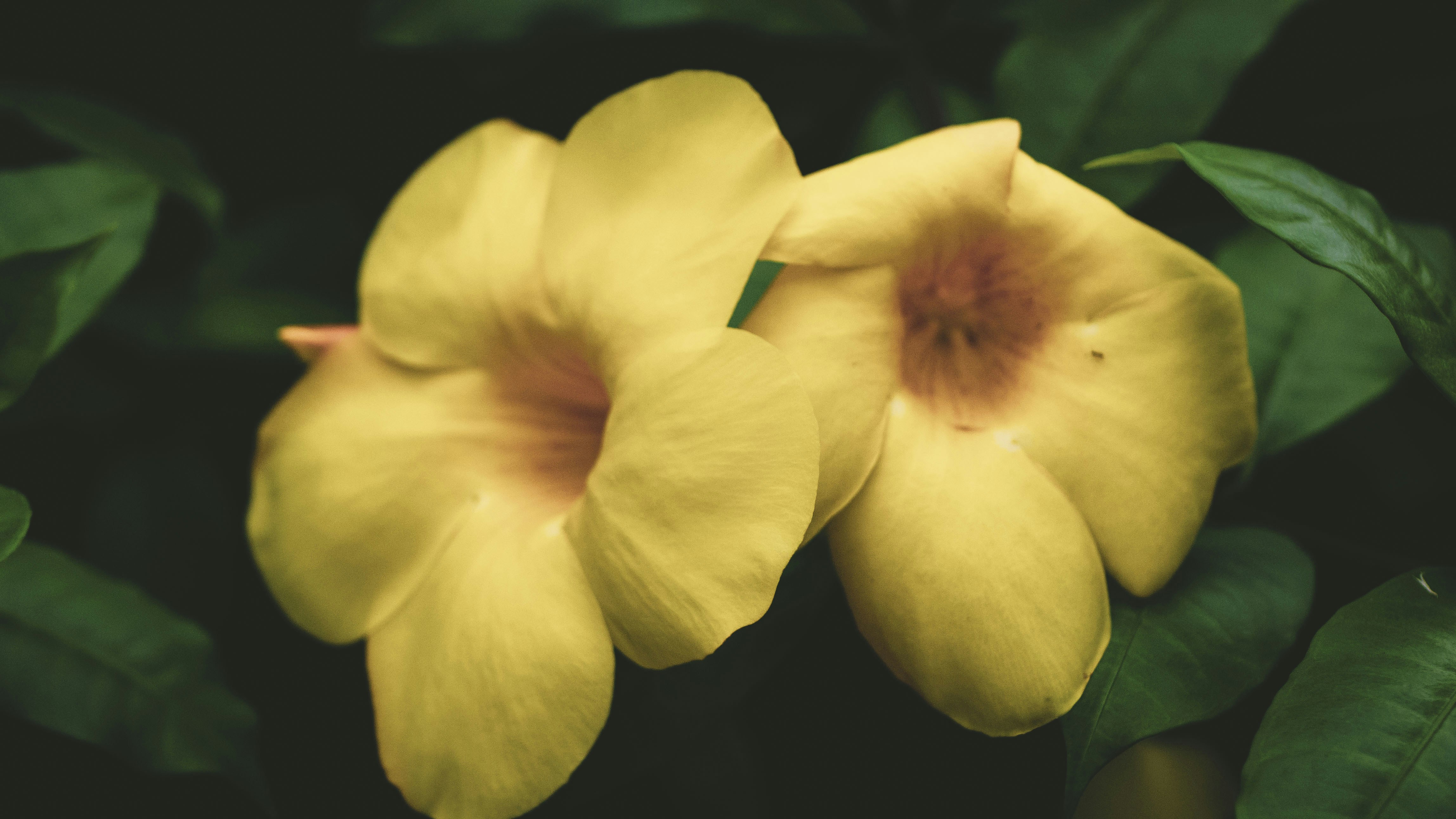 Photo by projecttwentysix