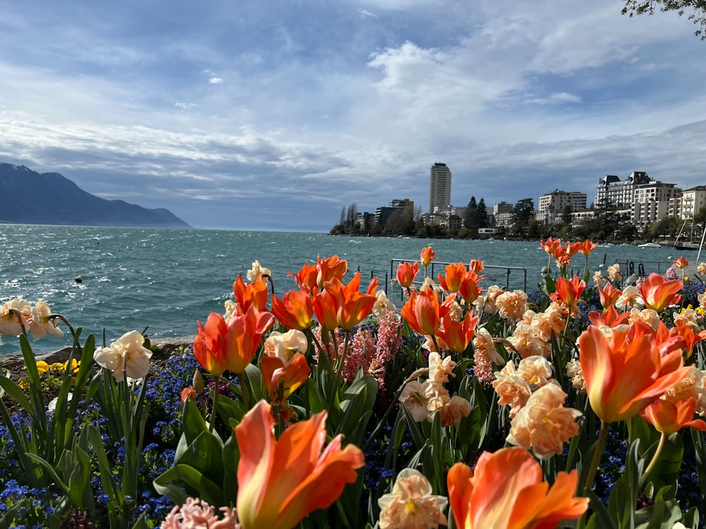 a bunch of flowers that are by the water