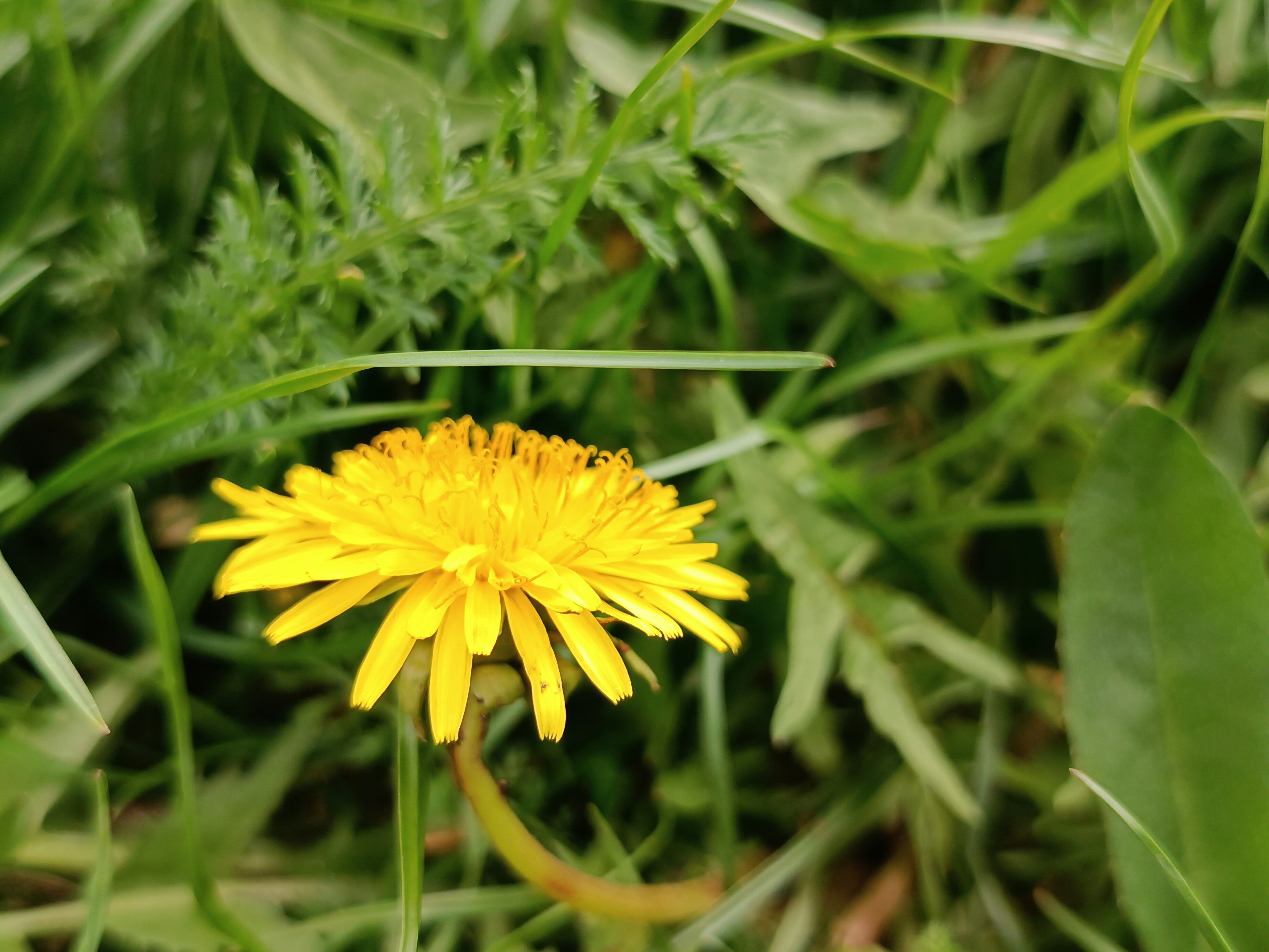 Photo by moricka3724