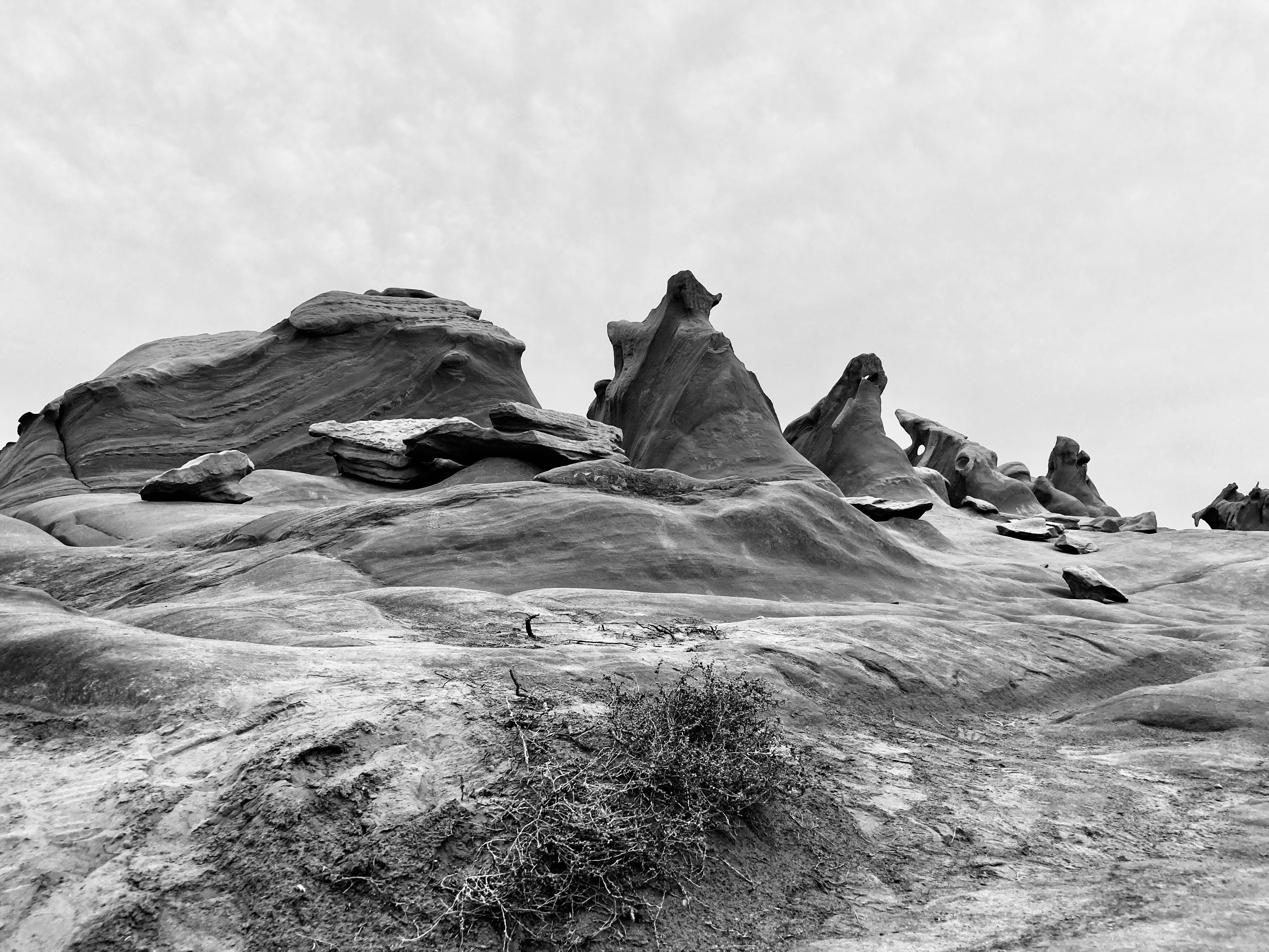 Photo by hossein8728