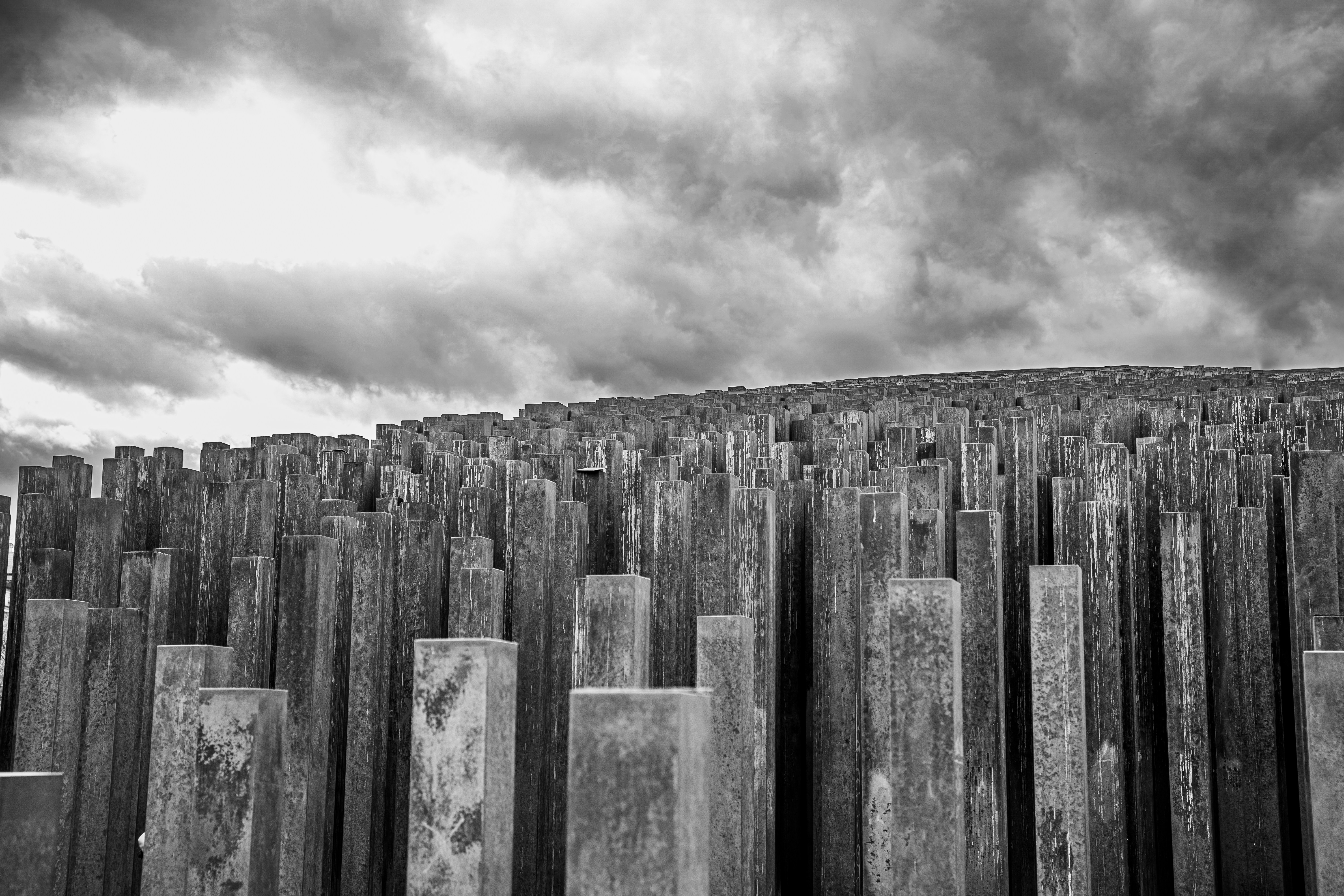 a black and white photo of a bunch of poles
