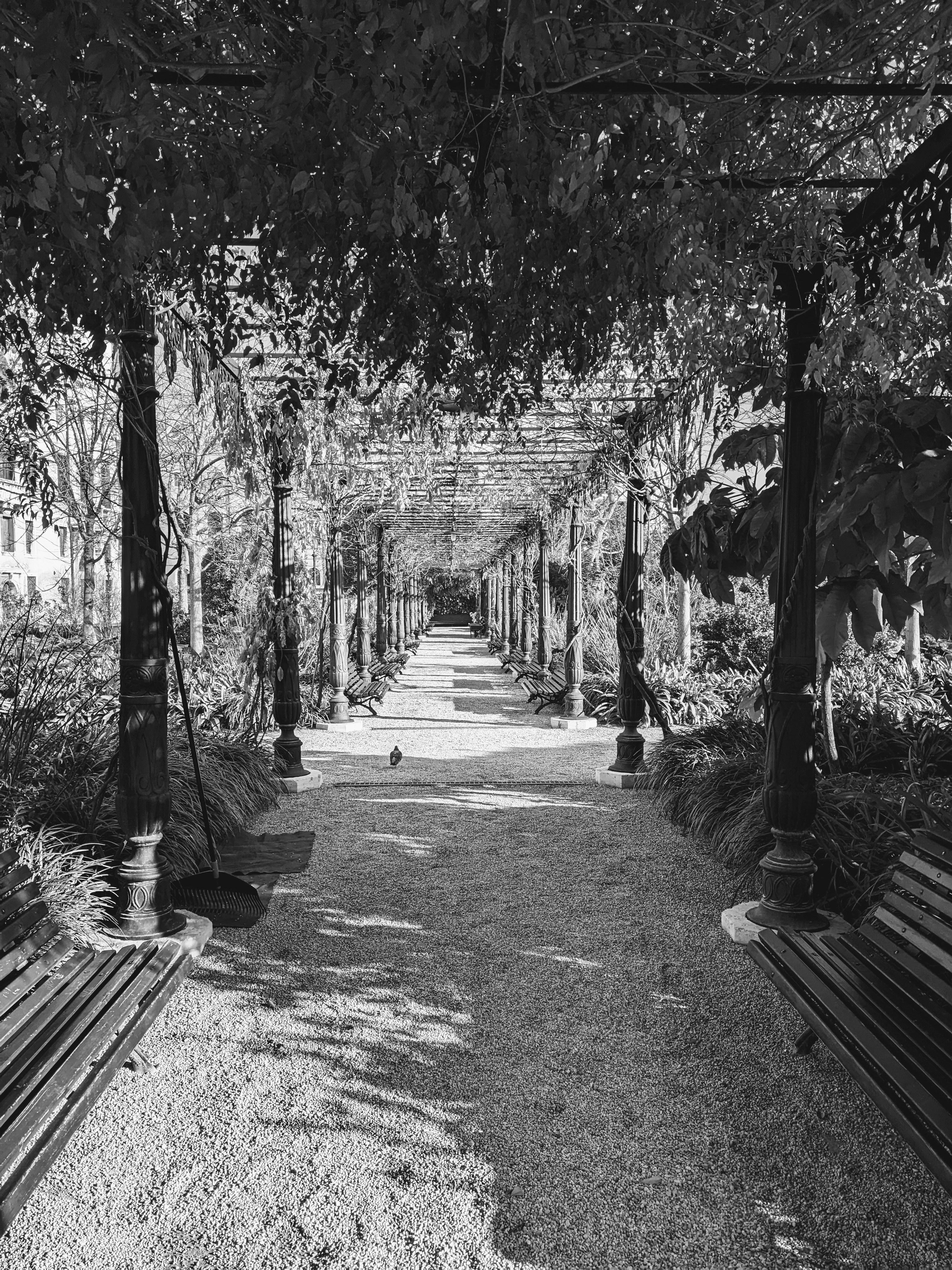 Empty park bench at dusk, long shadows across empty path, single pigeon, melancholic