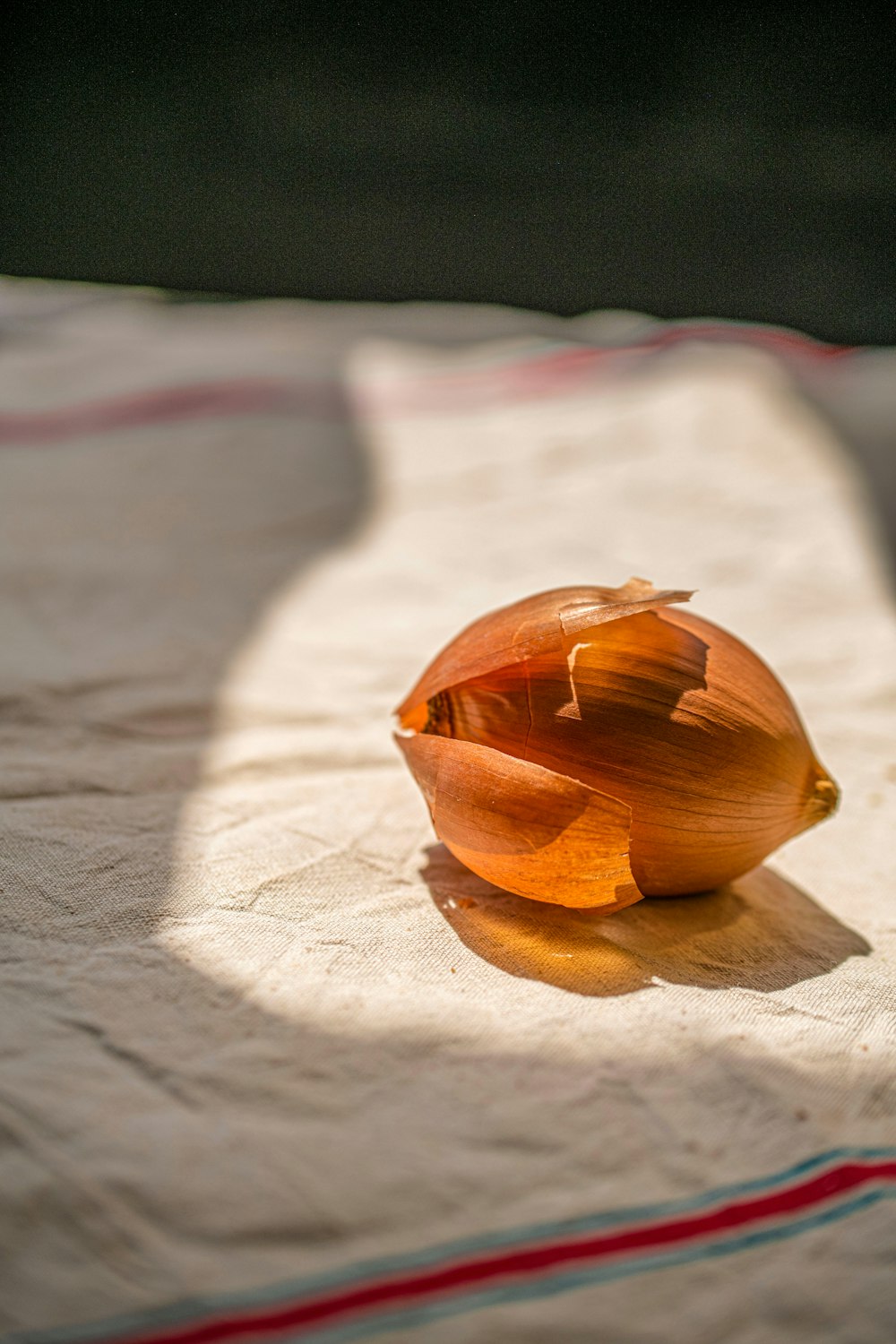 an onion sitting on top of a white cloth