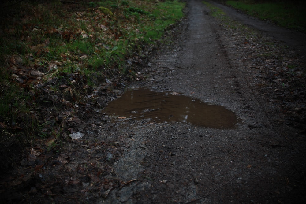 a puddle of water sitting on the side of a dirt road