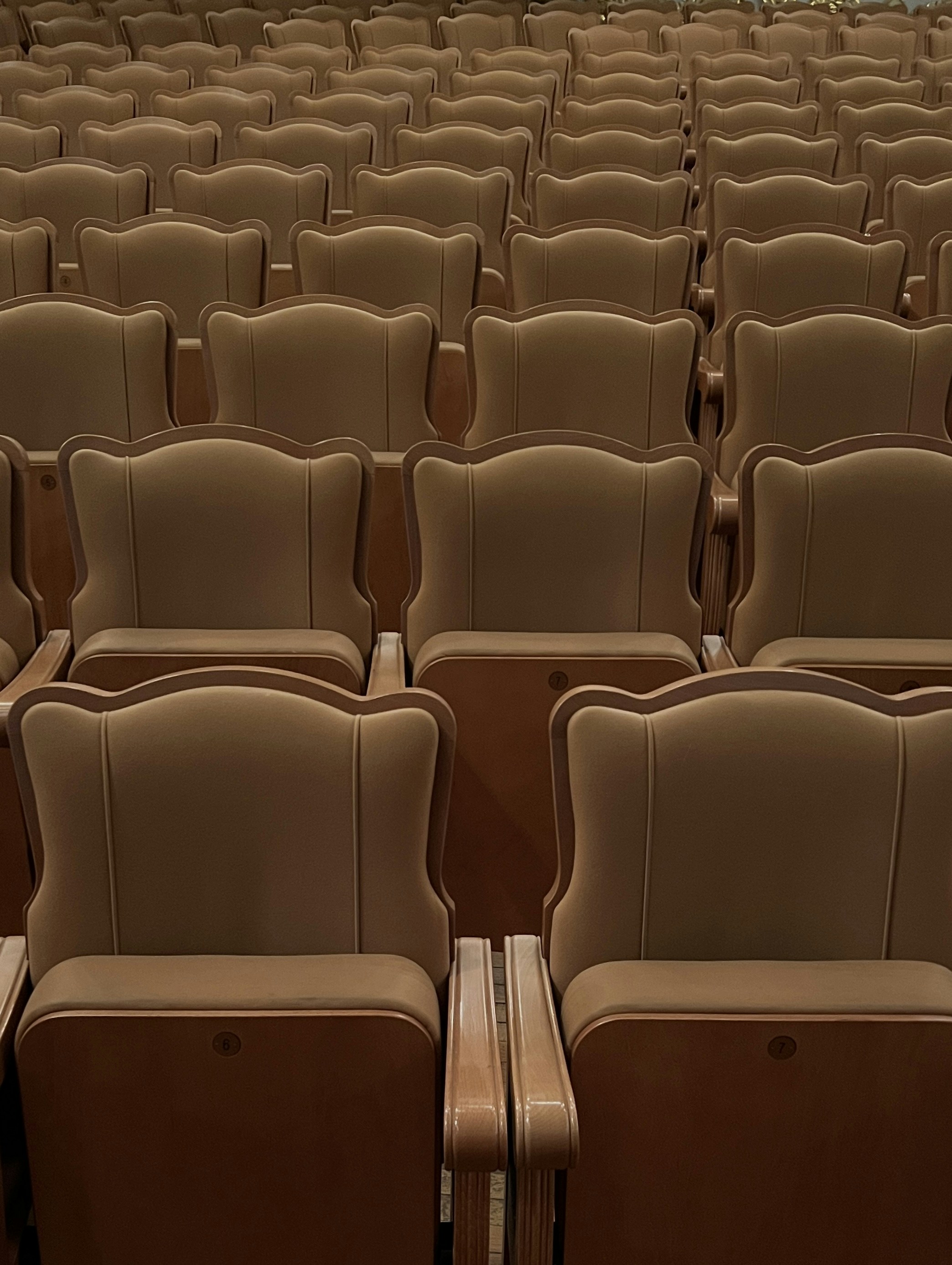rows of empty seats in a large auditorium