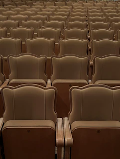 rows of empty seats in a large auditorium