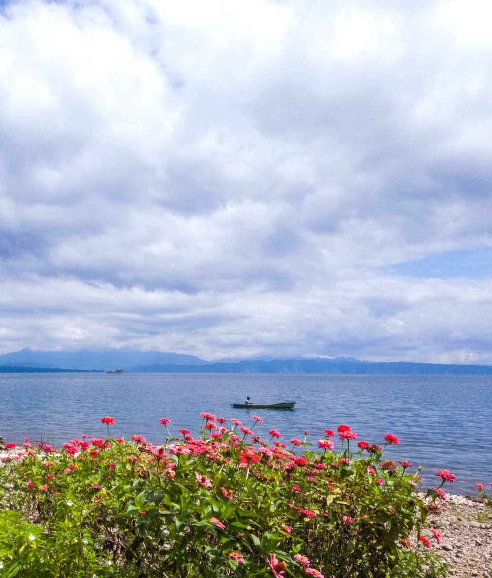 a boat in the distance on a body of water