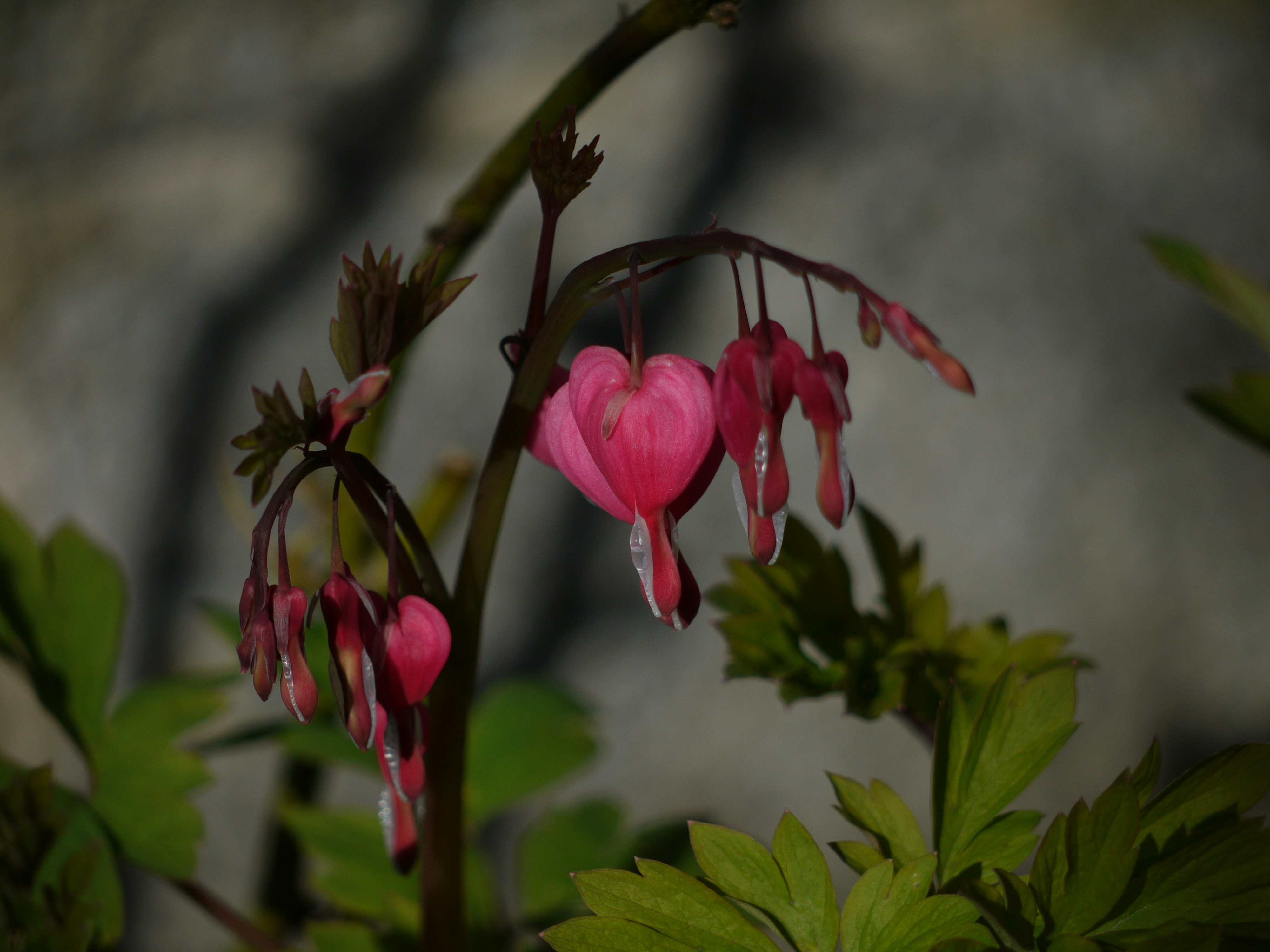 Photo by funen99