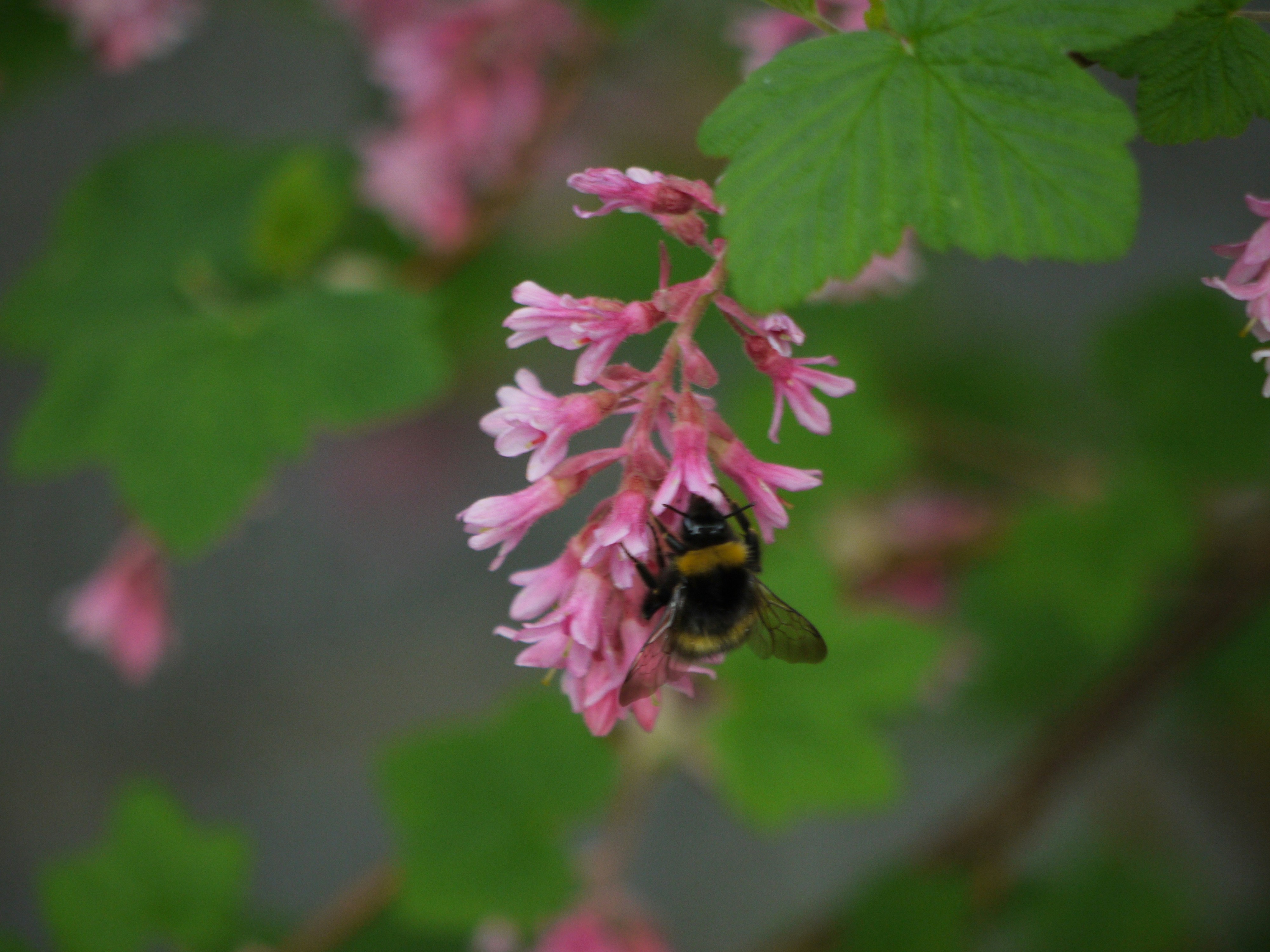 Photo by funen99