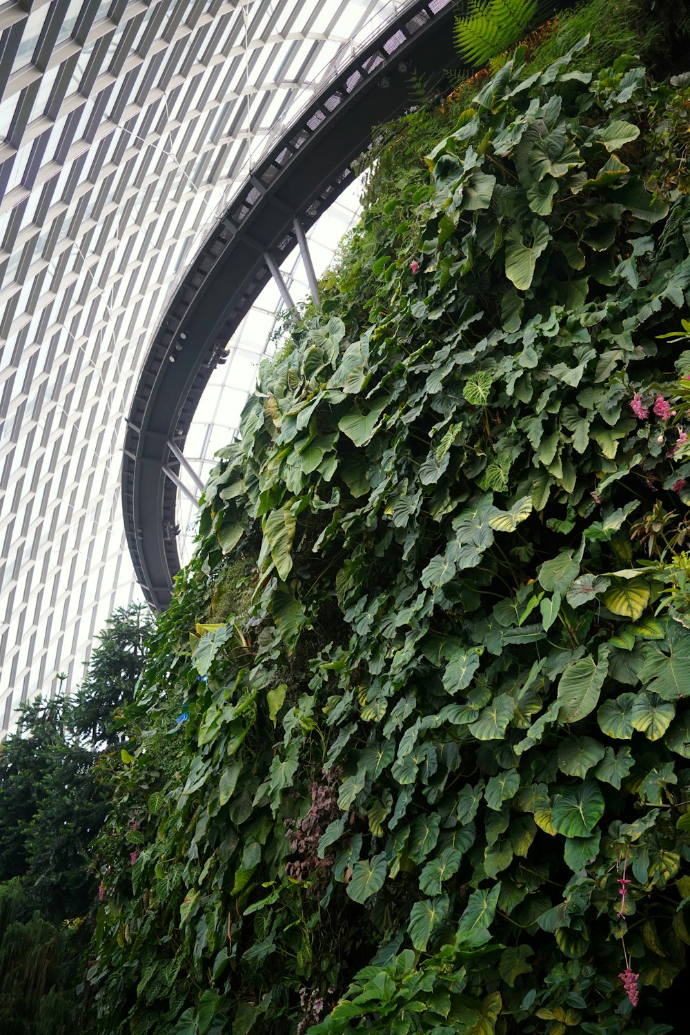 a very tall plant covered wall in a building