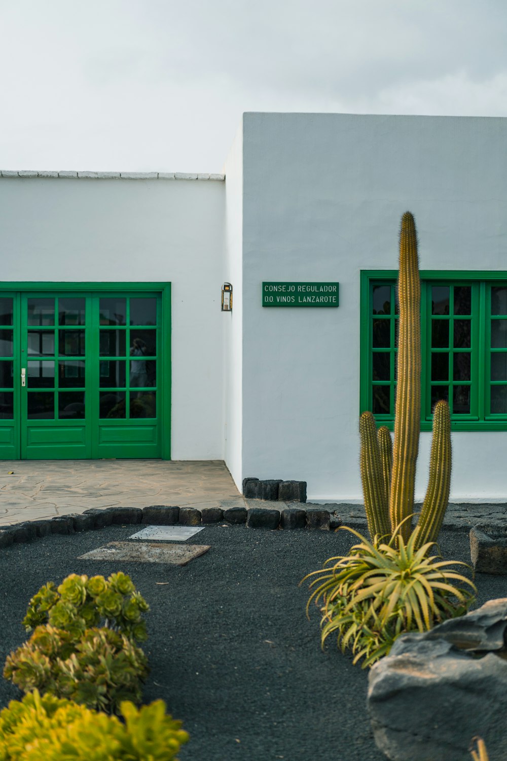 a cactus in front of a white building with green doors