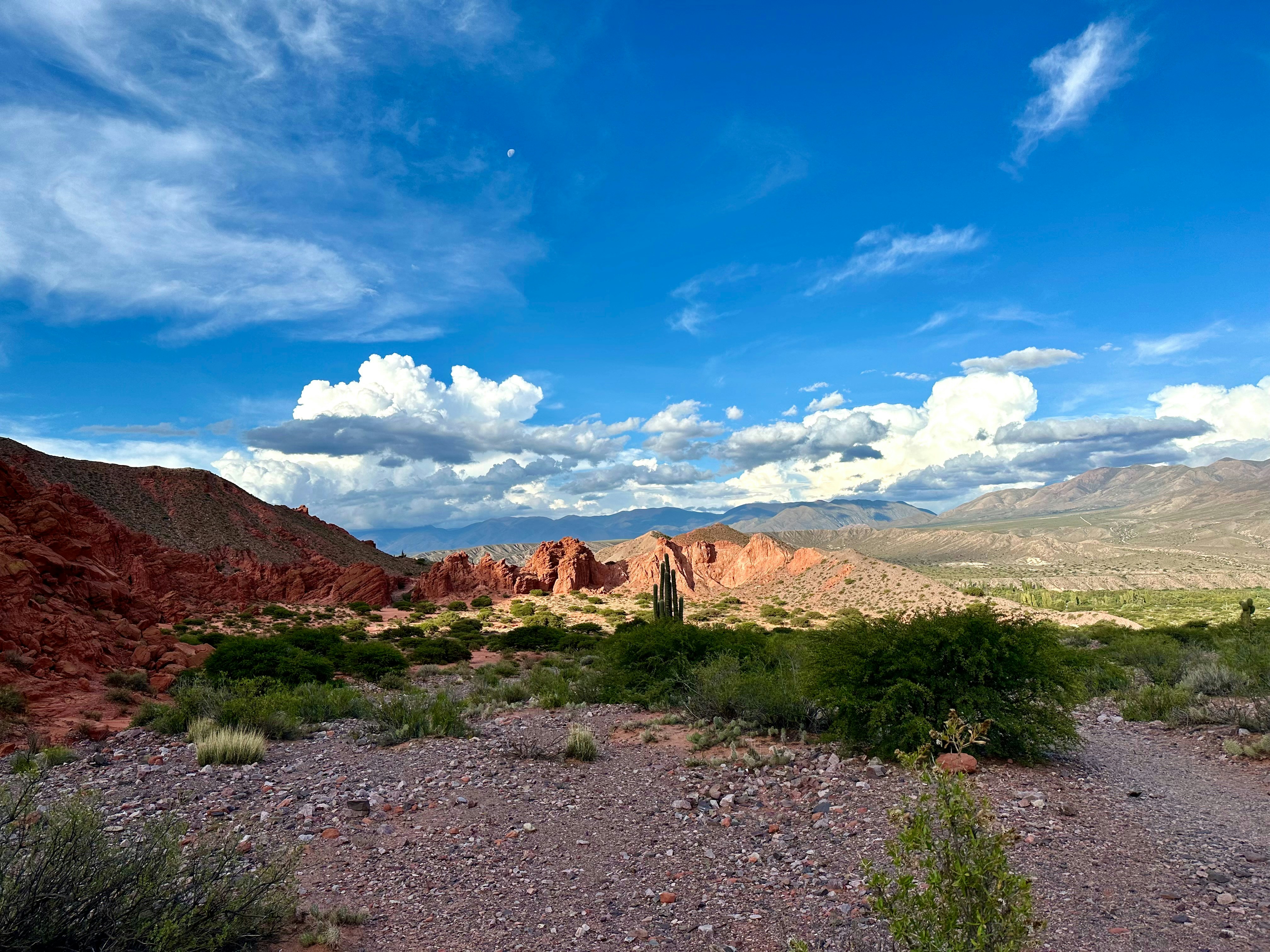 Photo by maximilian_brand