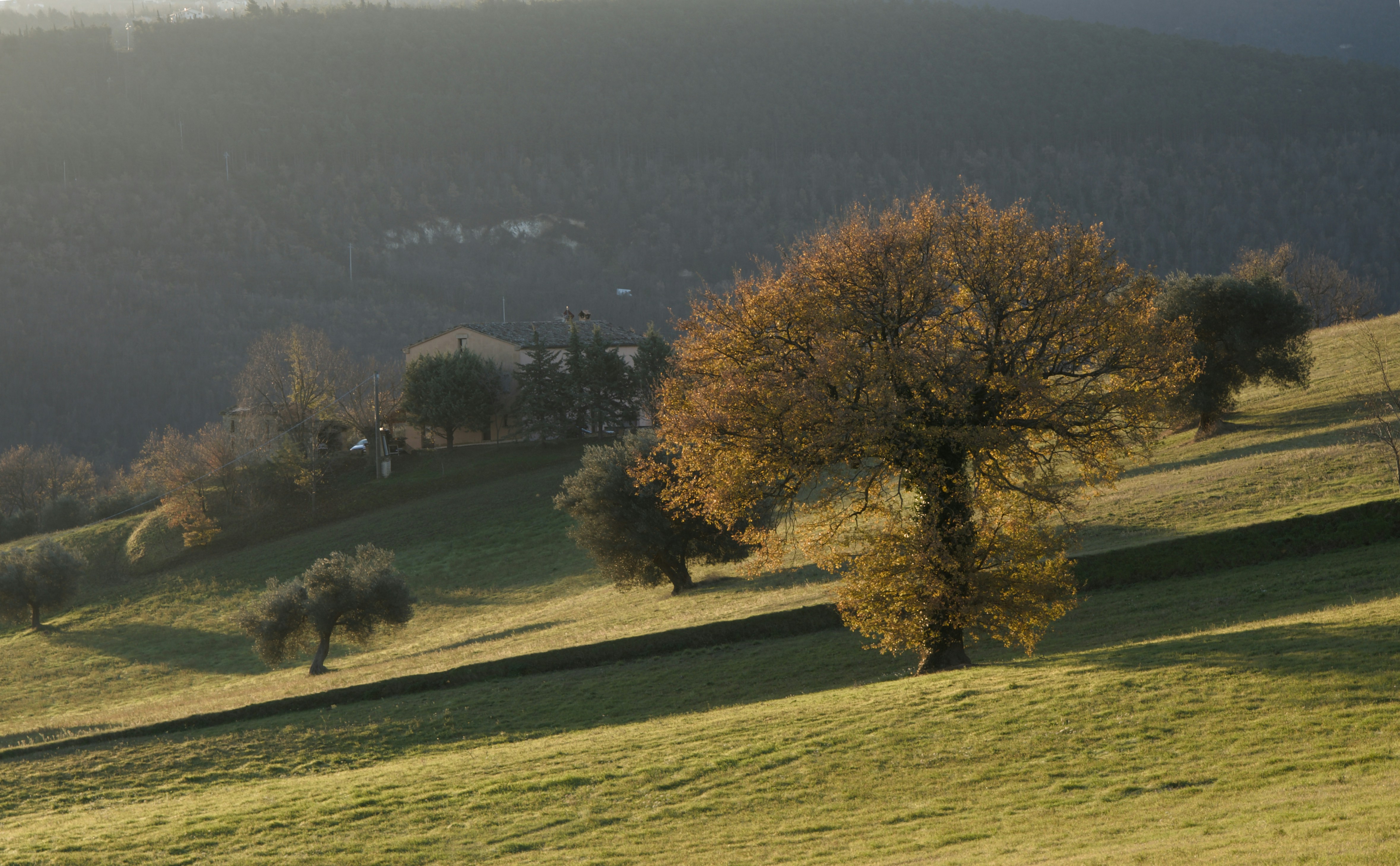 Photo by mariobeducci