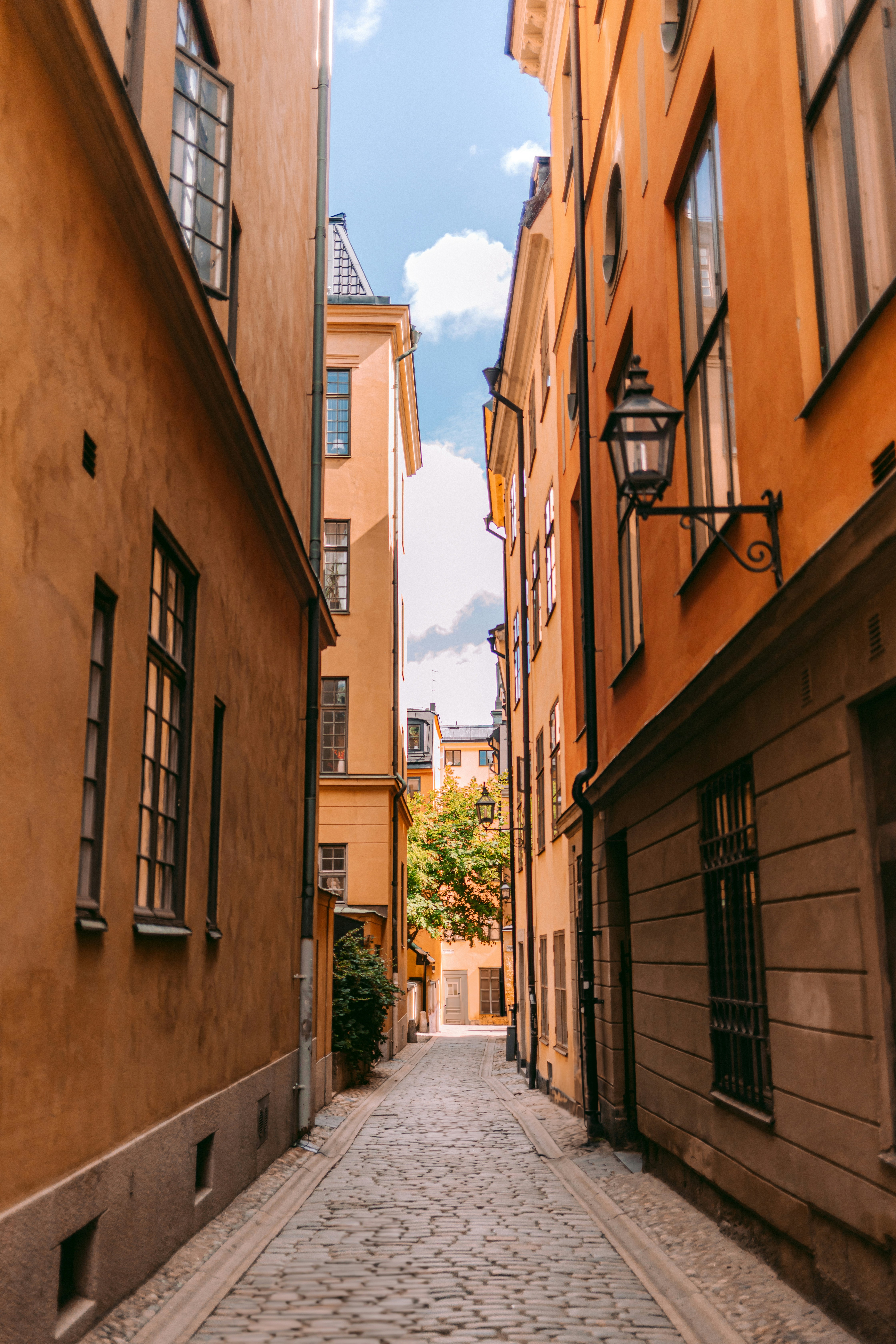 Photo by maureeneijpe