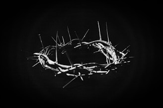 a black and white photo of a crown of thorns