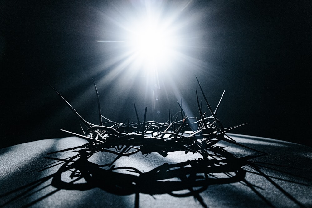 a crown of thorns on top of a table