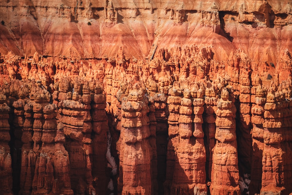 Eine große Gruppe von Felsformationen in der Wüste
