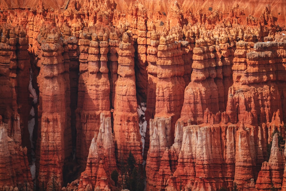 a large group of red rocks with trees growing out of them