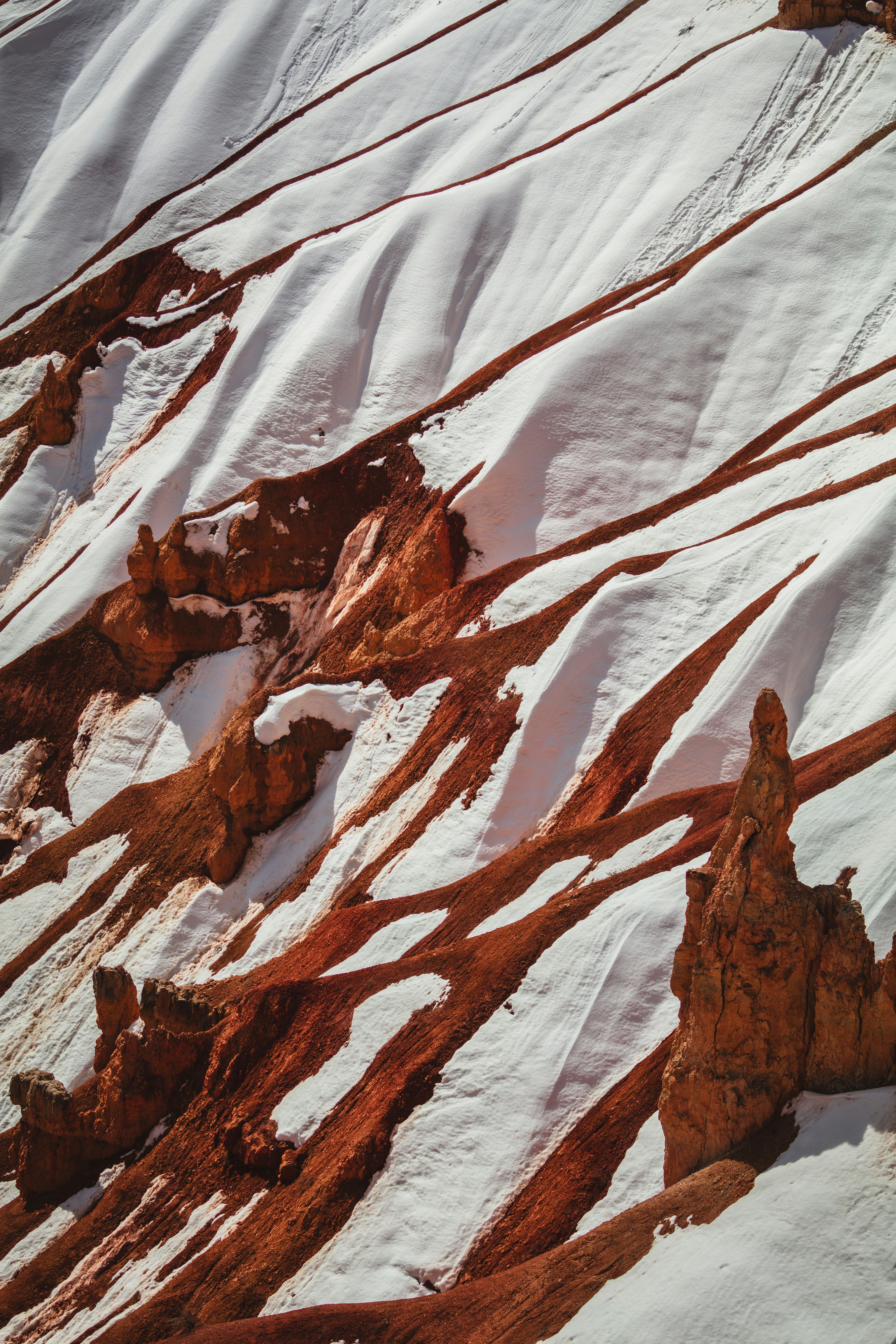 a snow covered mountain with a bird flying over it