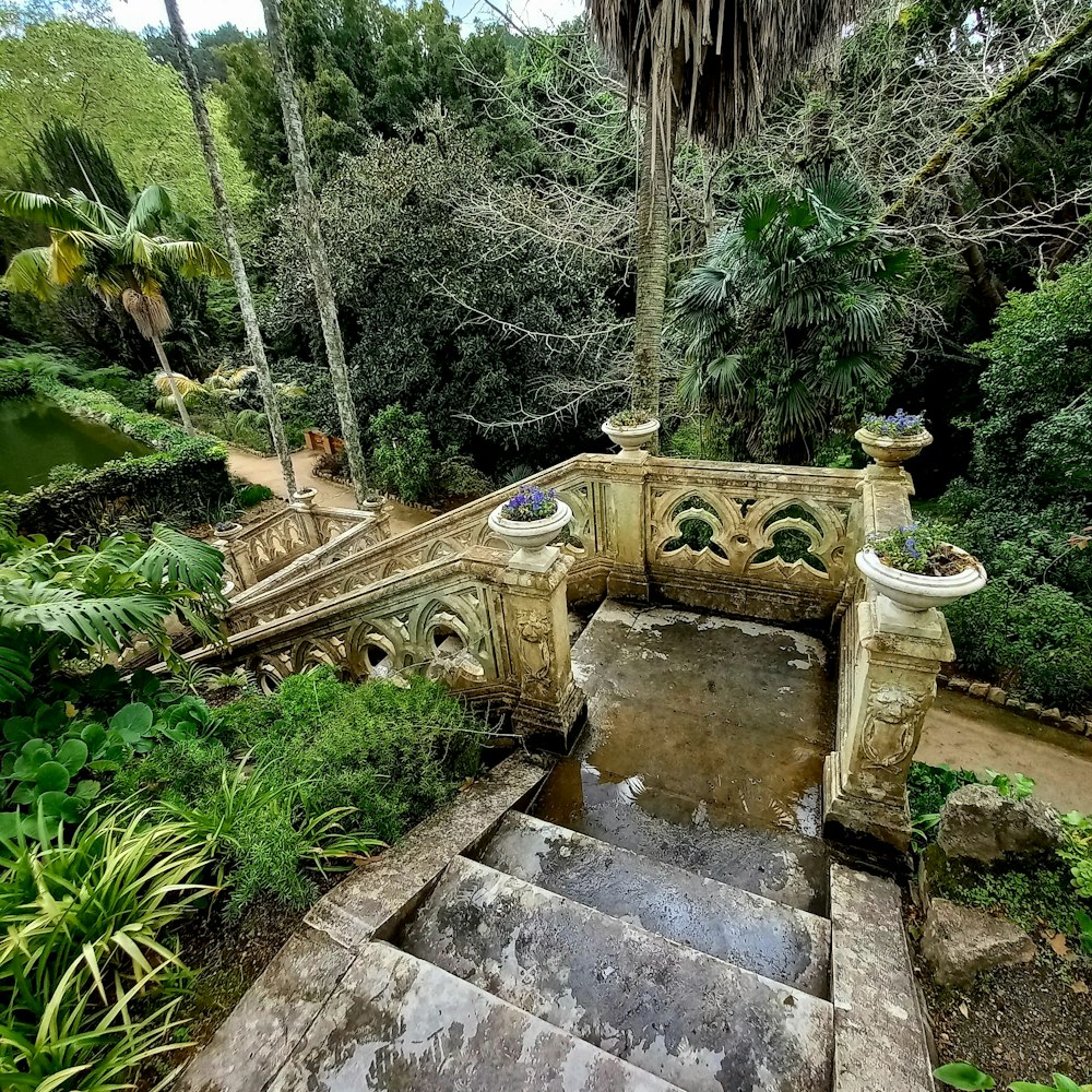 a set of stairs leading up to a lush green forest