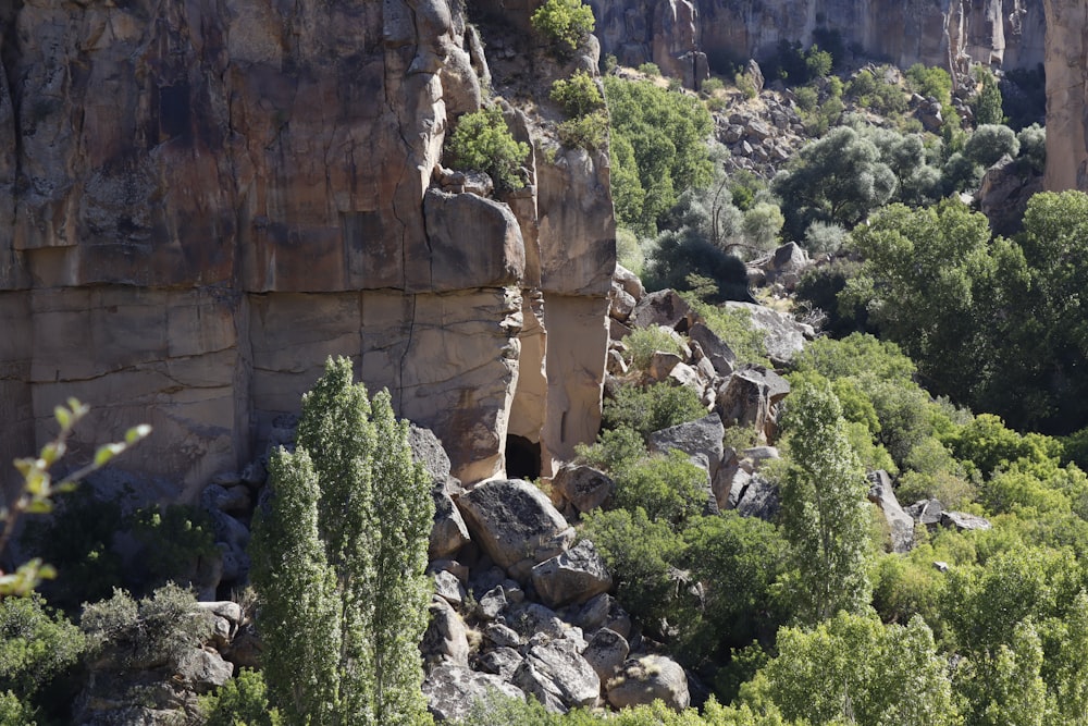 a rocky cliff with trees and bushes growing on it