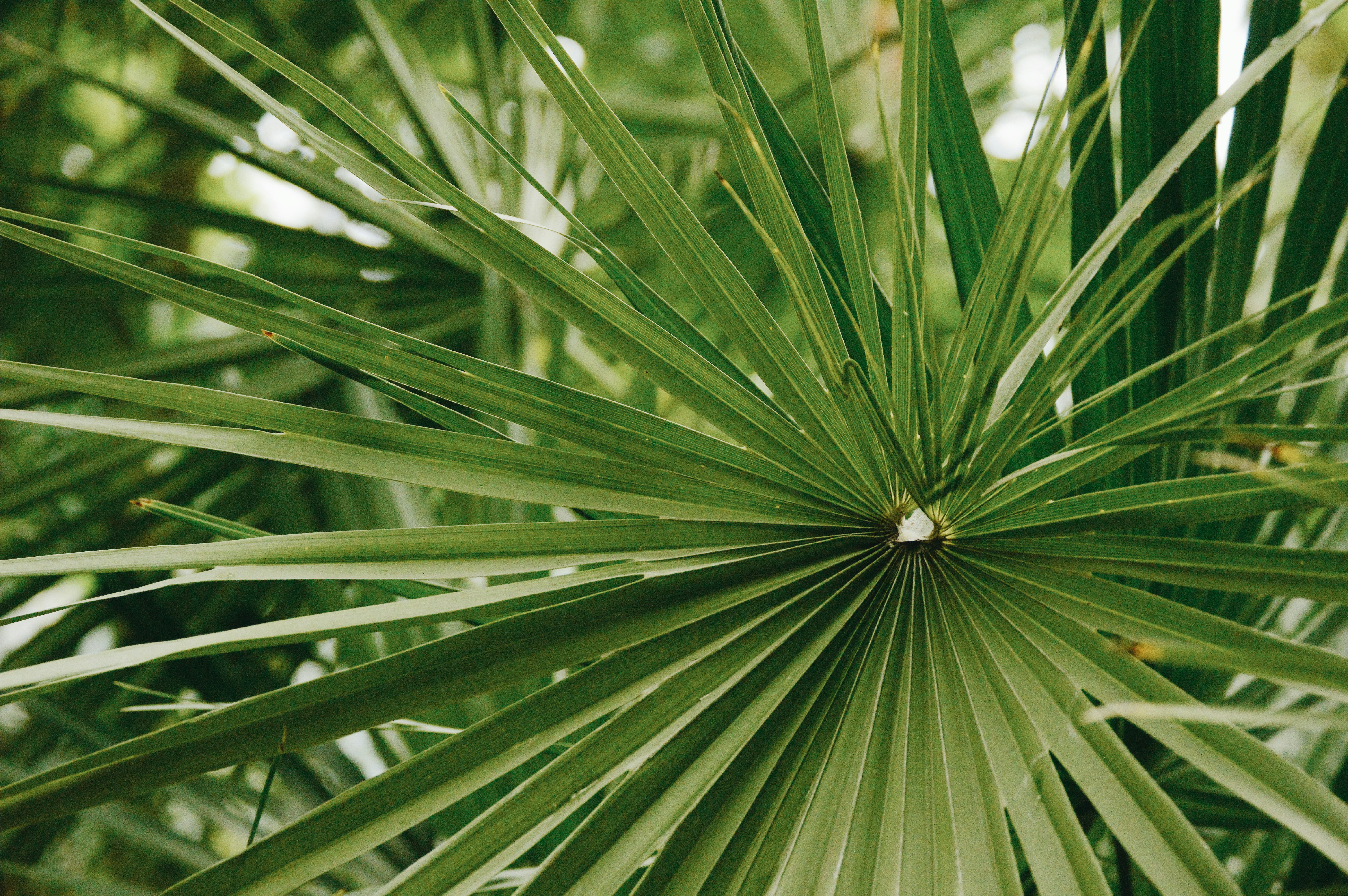 Photo by victoriakim