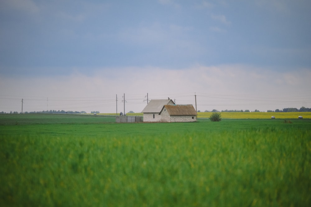 a house in a field of green grass