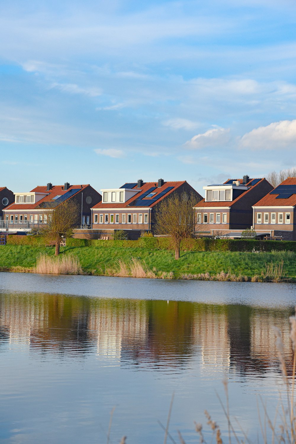 a row of houses next to a body of water