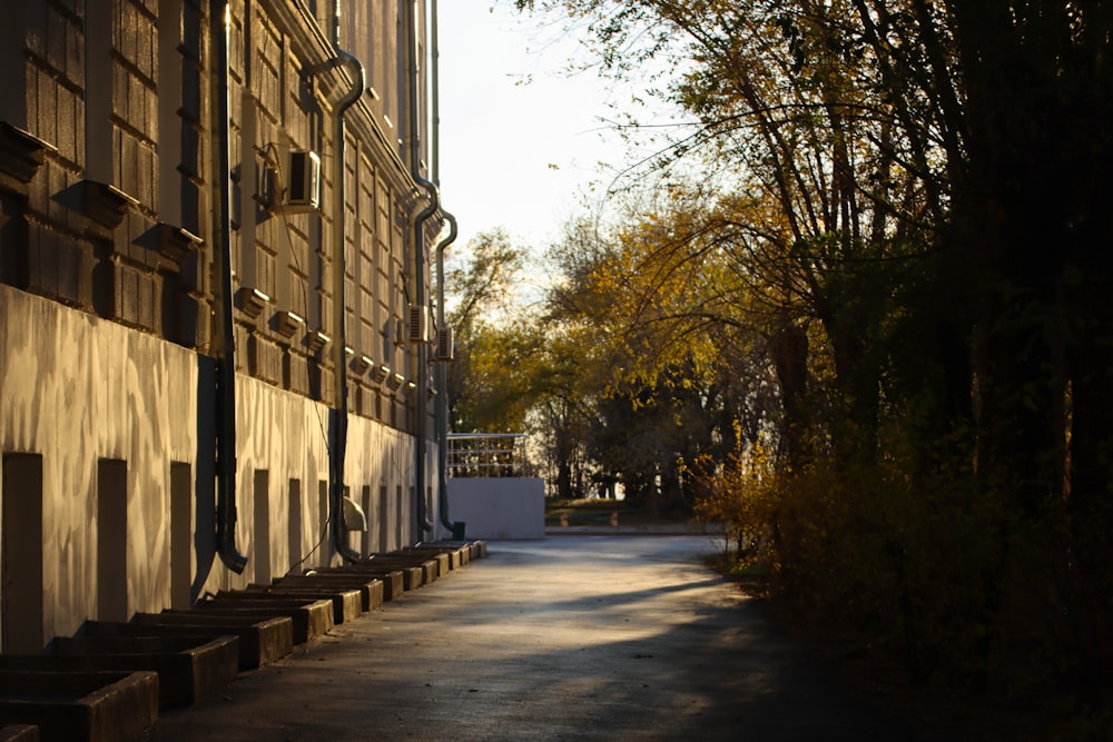 a street lined with tall buildings next to trees