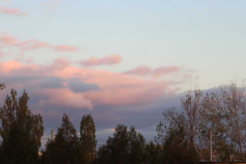 a pink sky with clouds and trees in the foreground