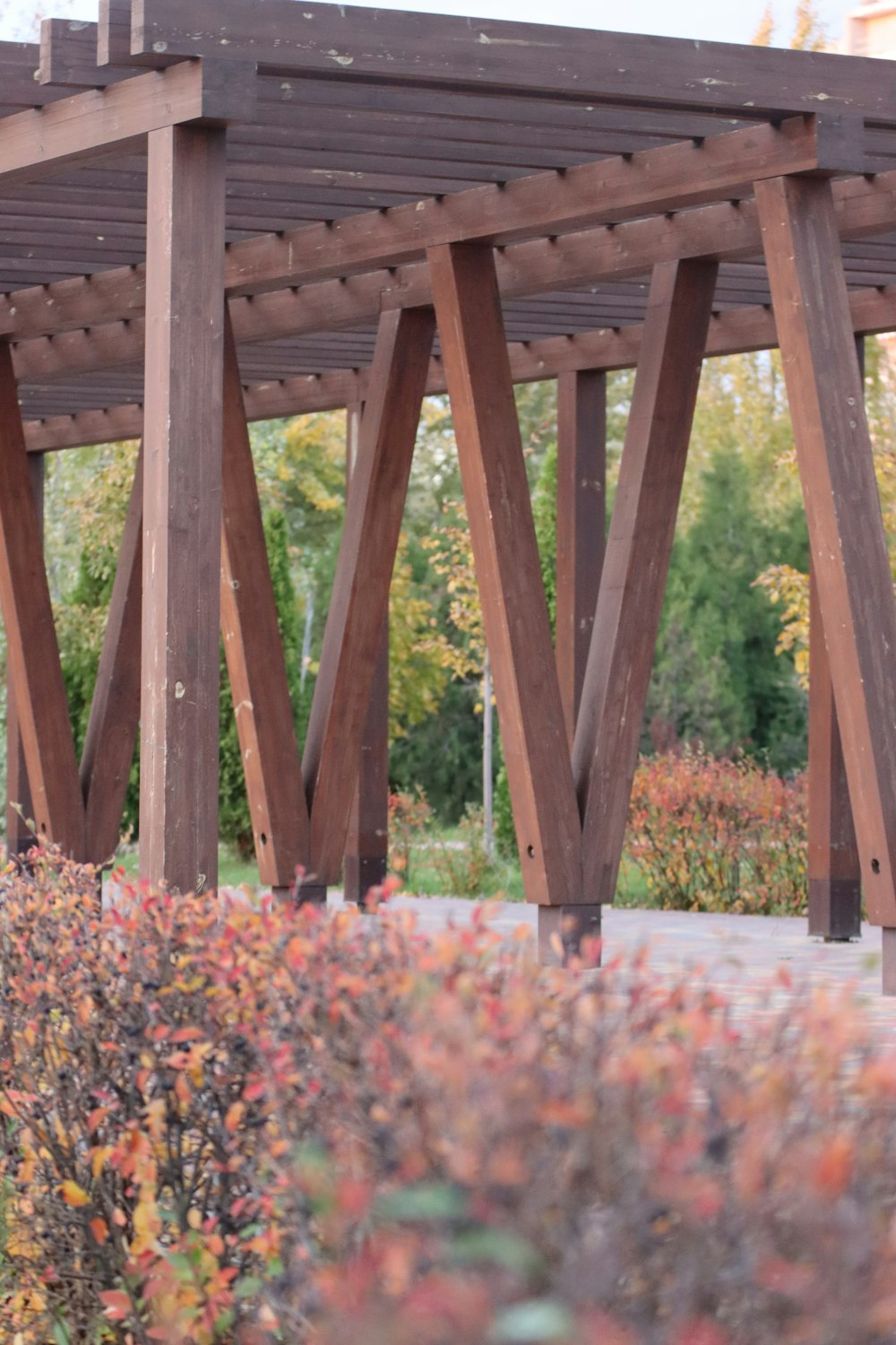 uma estrutura de madeira no meio de um jardim