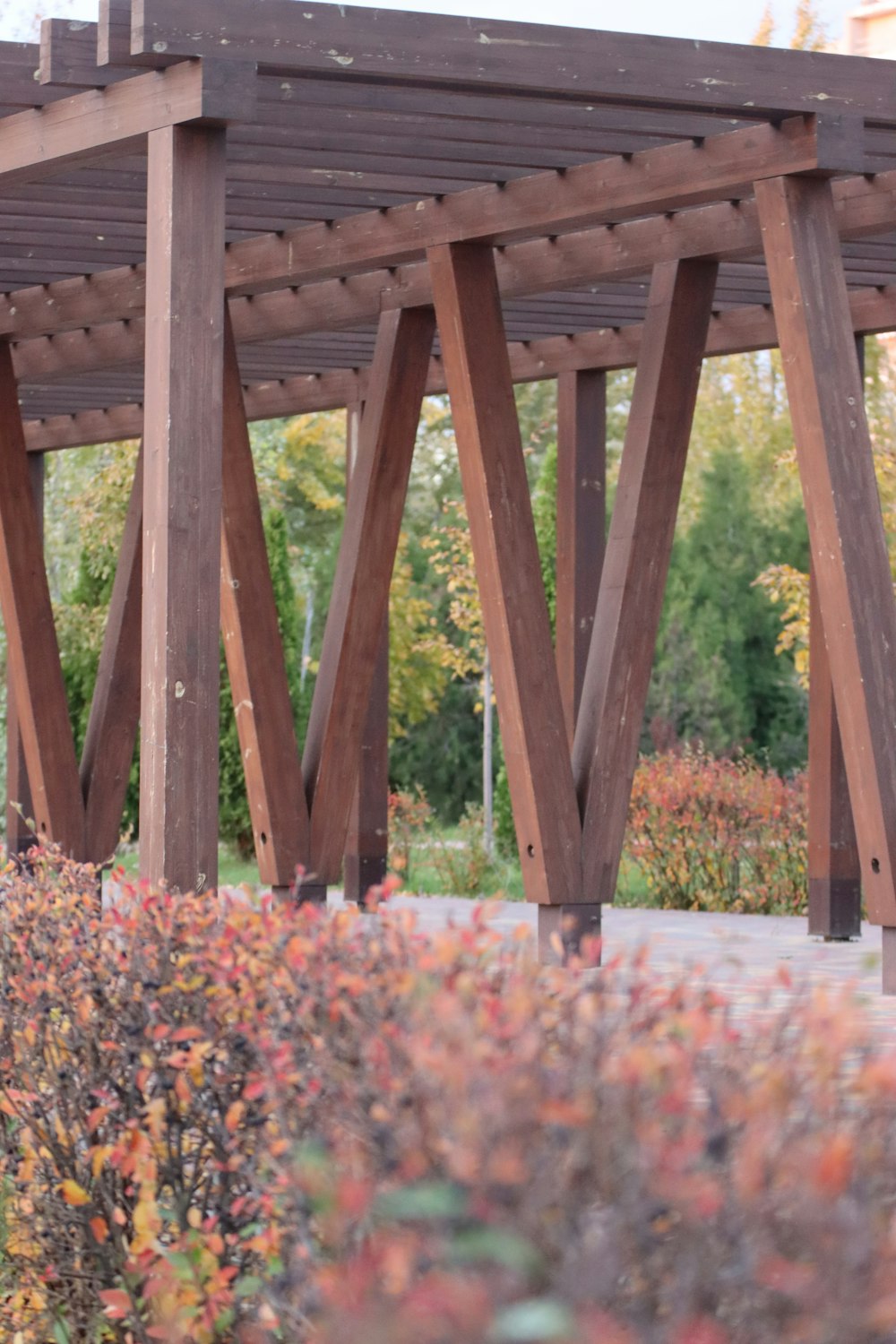 a wooden structure in the middle of a garden