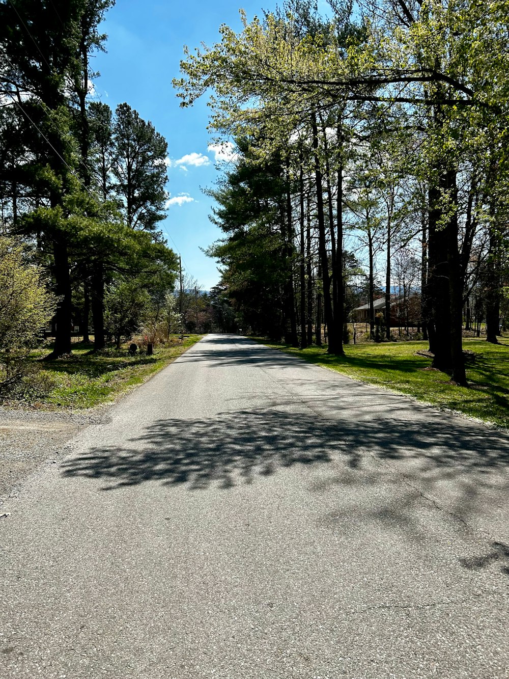 an empty road surrounded by trees on a sunny day