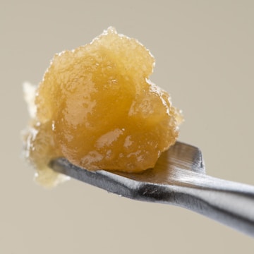 a close up of a spoon with sugar on it