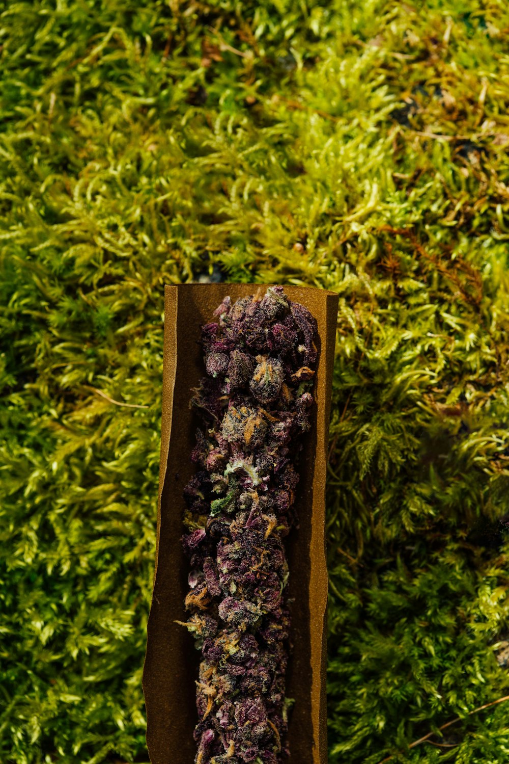 eine Kiste mit lila Blumen, die auf einem saftig grünen Feld sitzt