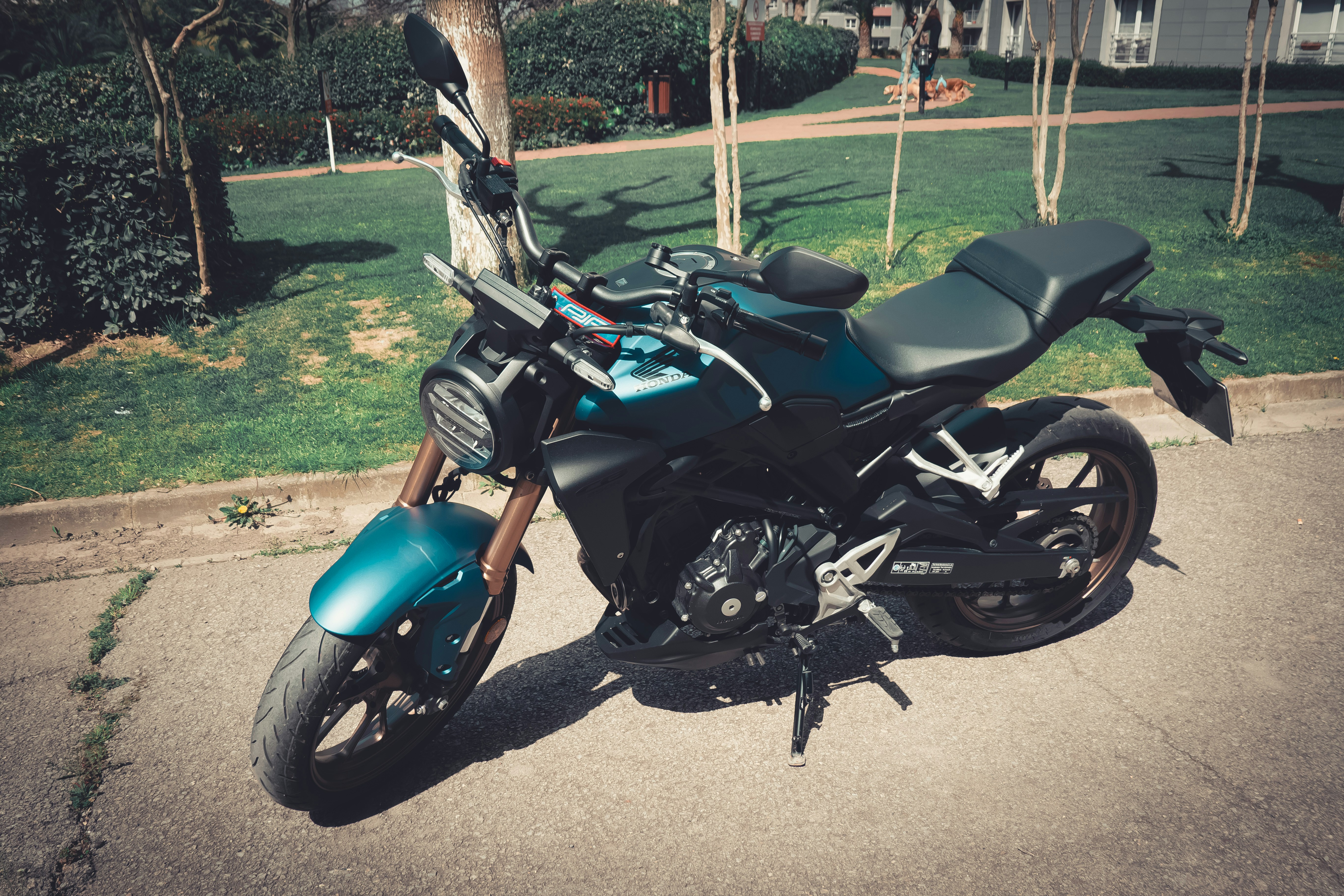 Honda CB250R blue, retro style street photos of a 2023 model bike