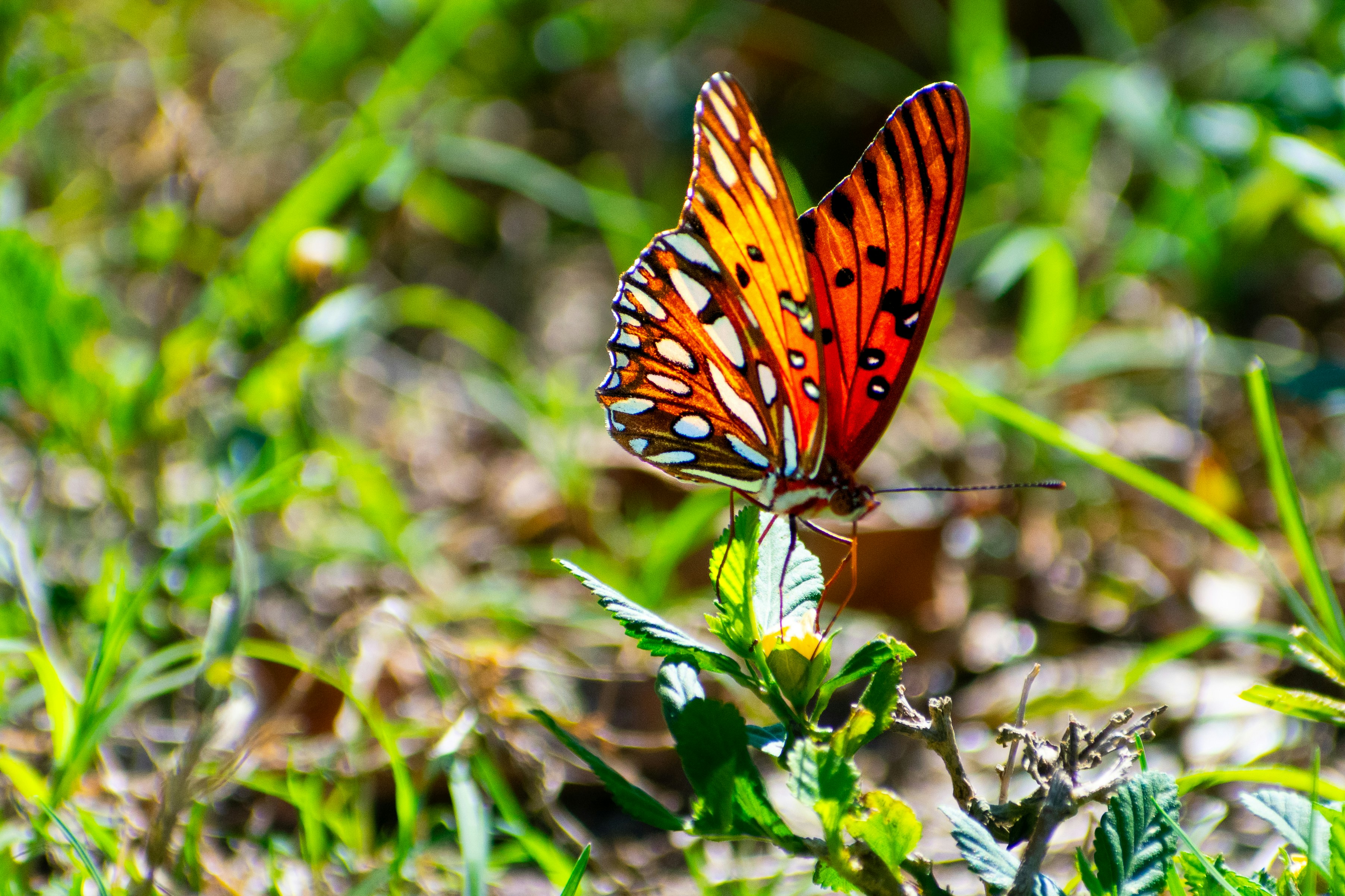 Photo by probablyrobin