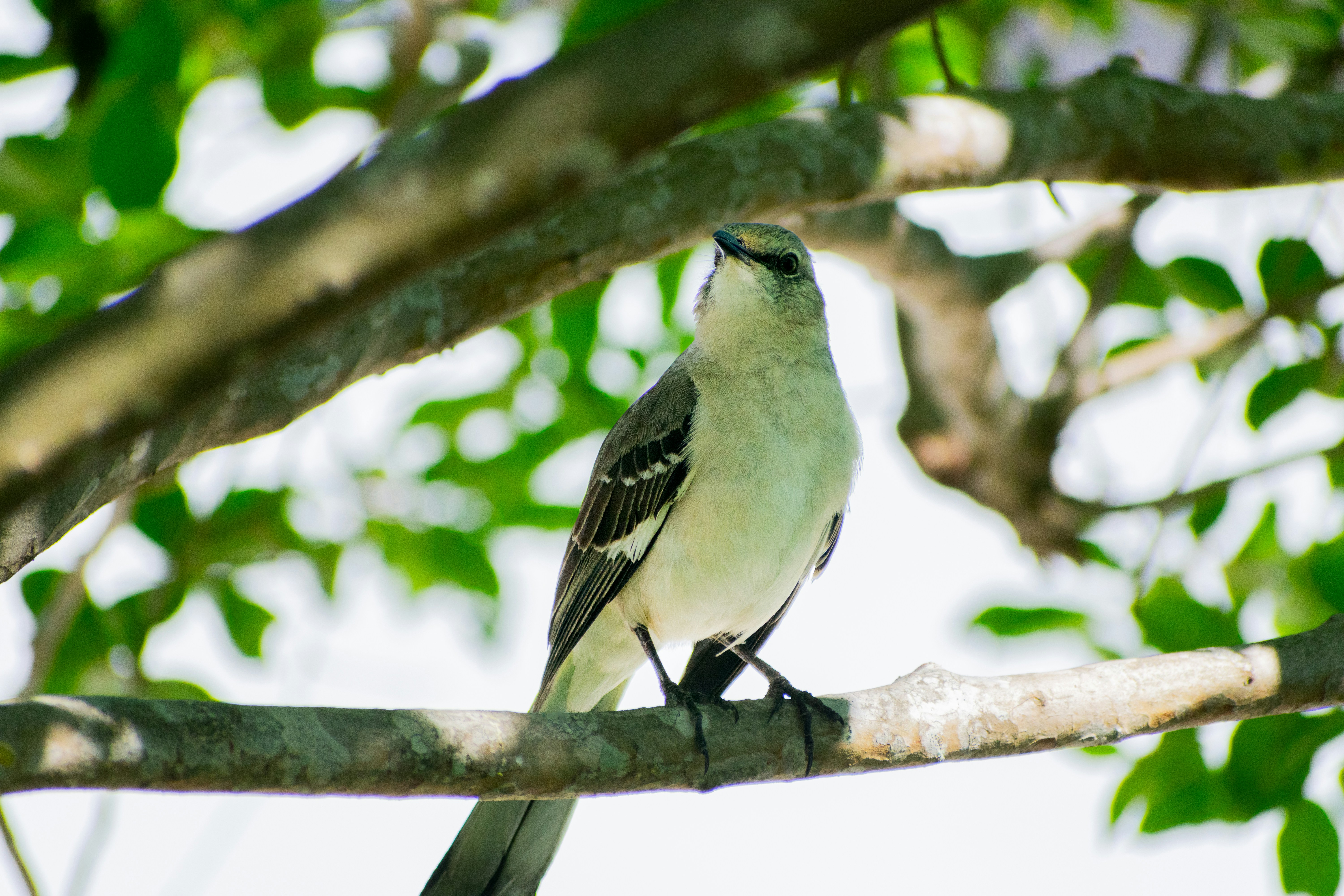 Photo by probablyrobin