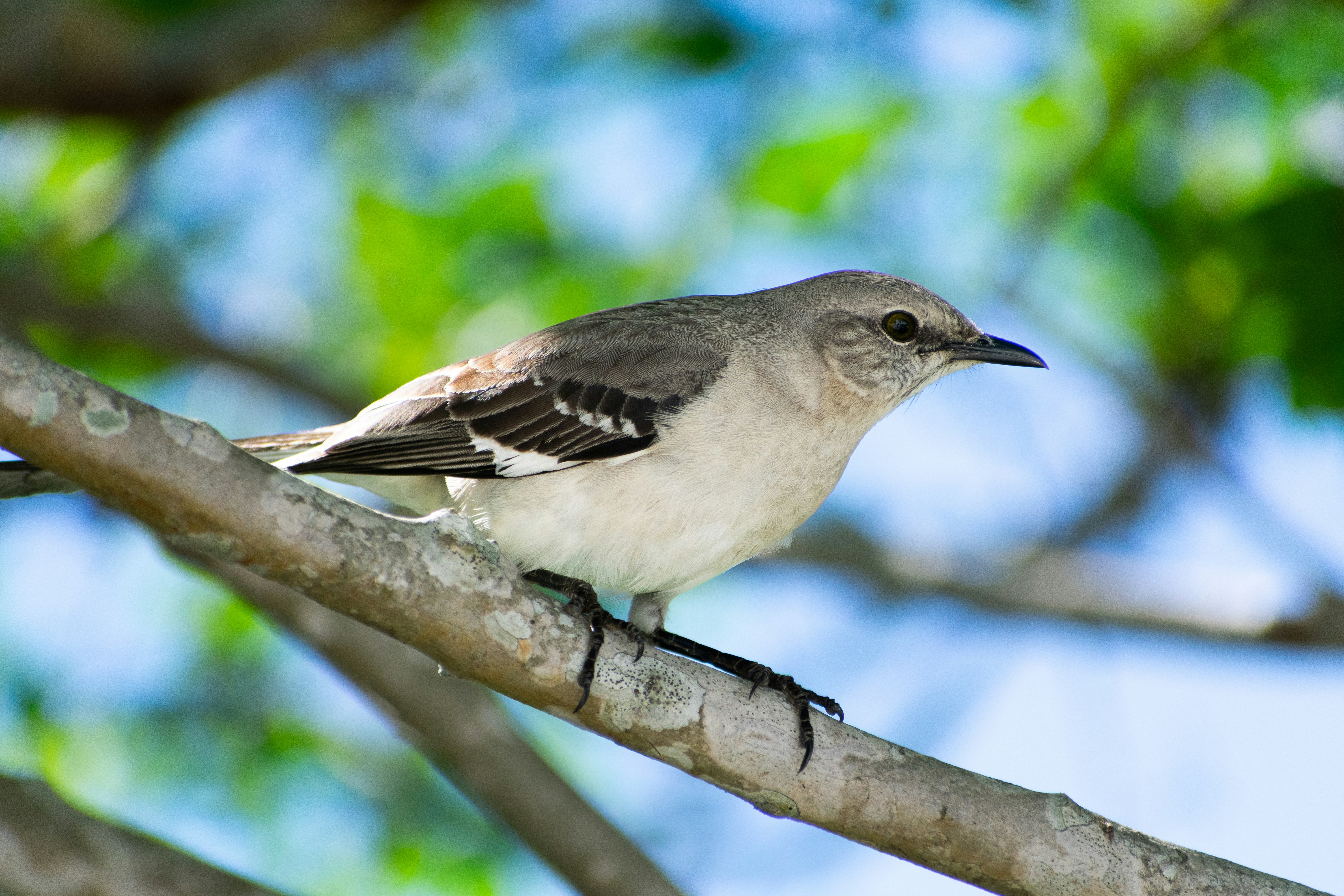 Photo by probablyrobin