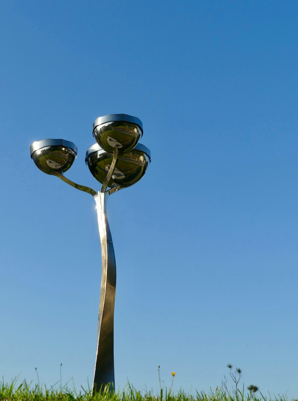 a street light sitting on top of a lush green field