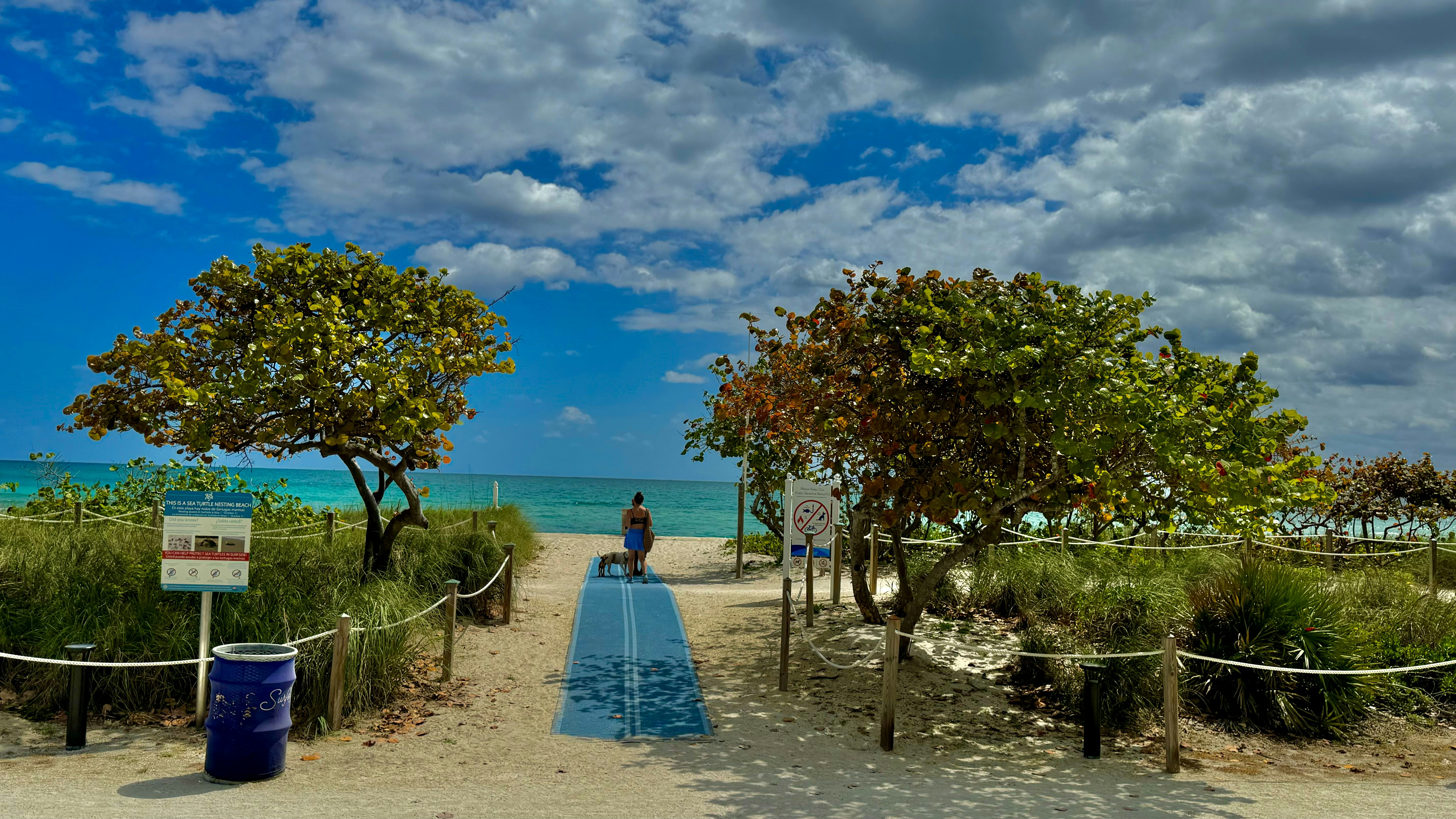 a person sitting on a bench on a beach, 