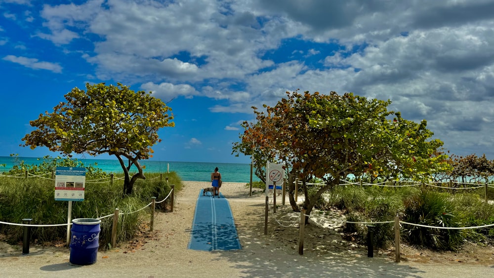 a person sitting on a bench on a beach