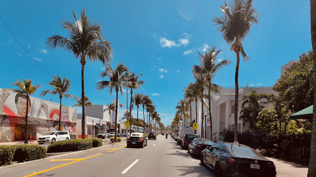 a street lined with palm trees and parked cars